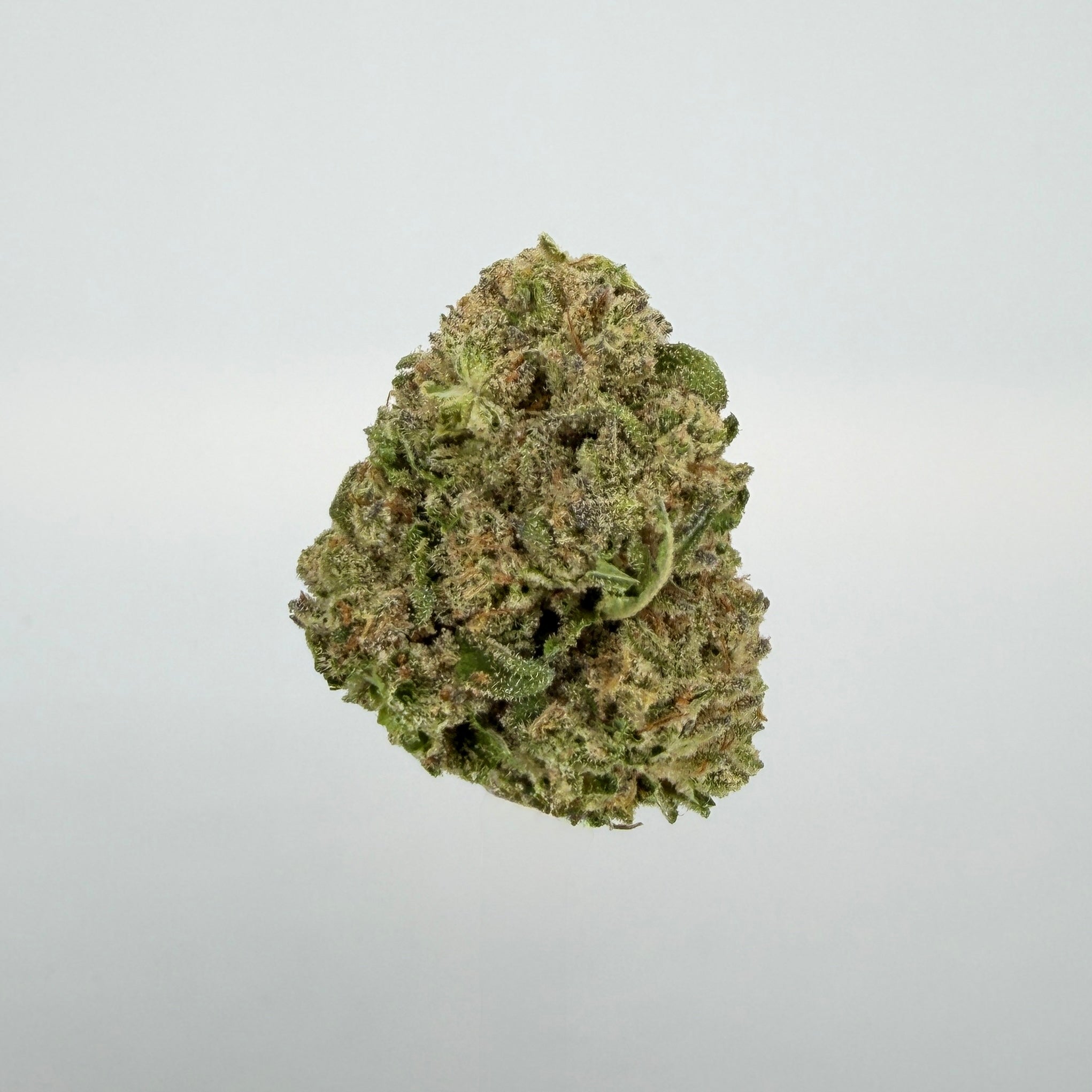 Collection of  in a gallery layout