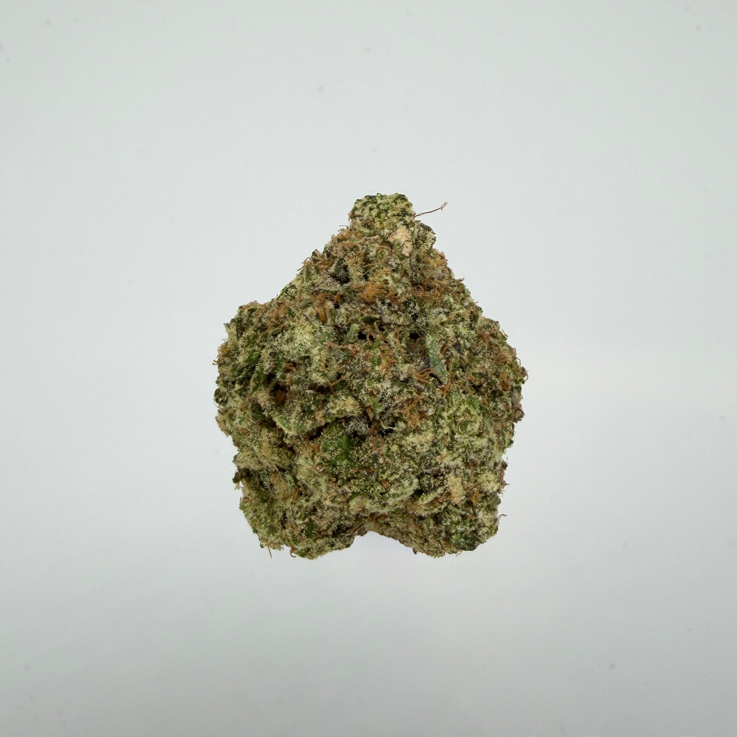 Collection of  in a gallery layout