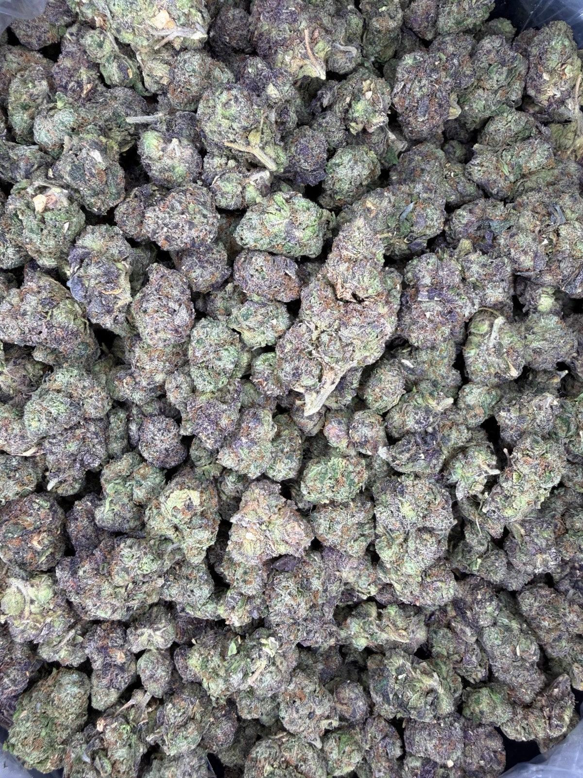 Collection of HEMP FLOWER | Gushers in a gallery layout