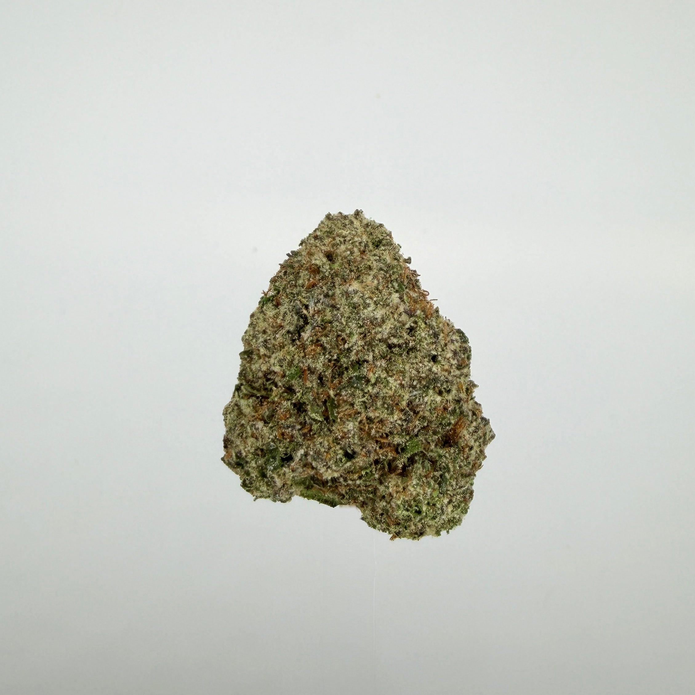 Collection of  in a gallery layout