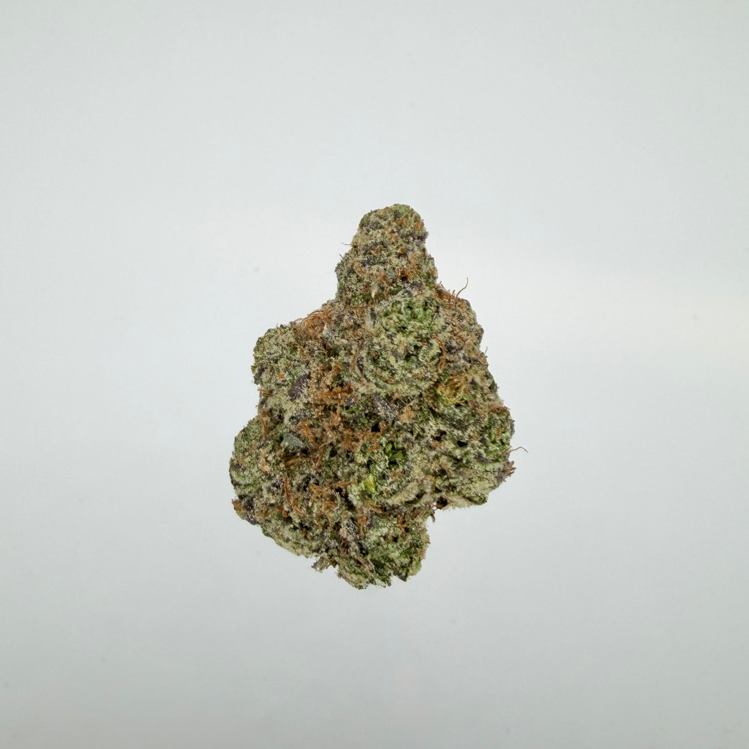 Collection of  in a gallery layout