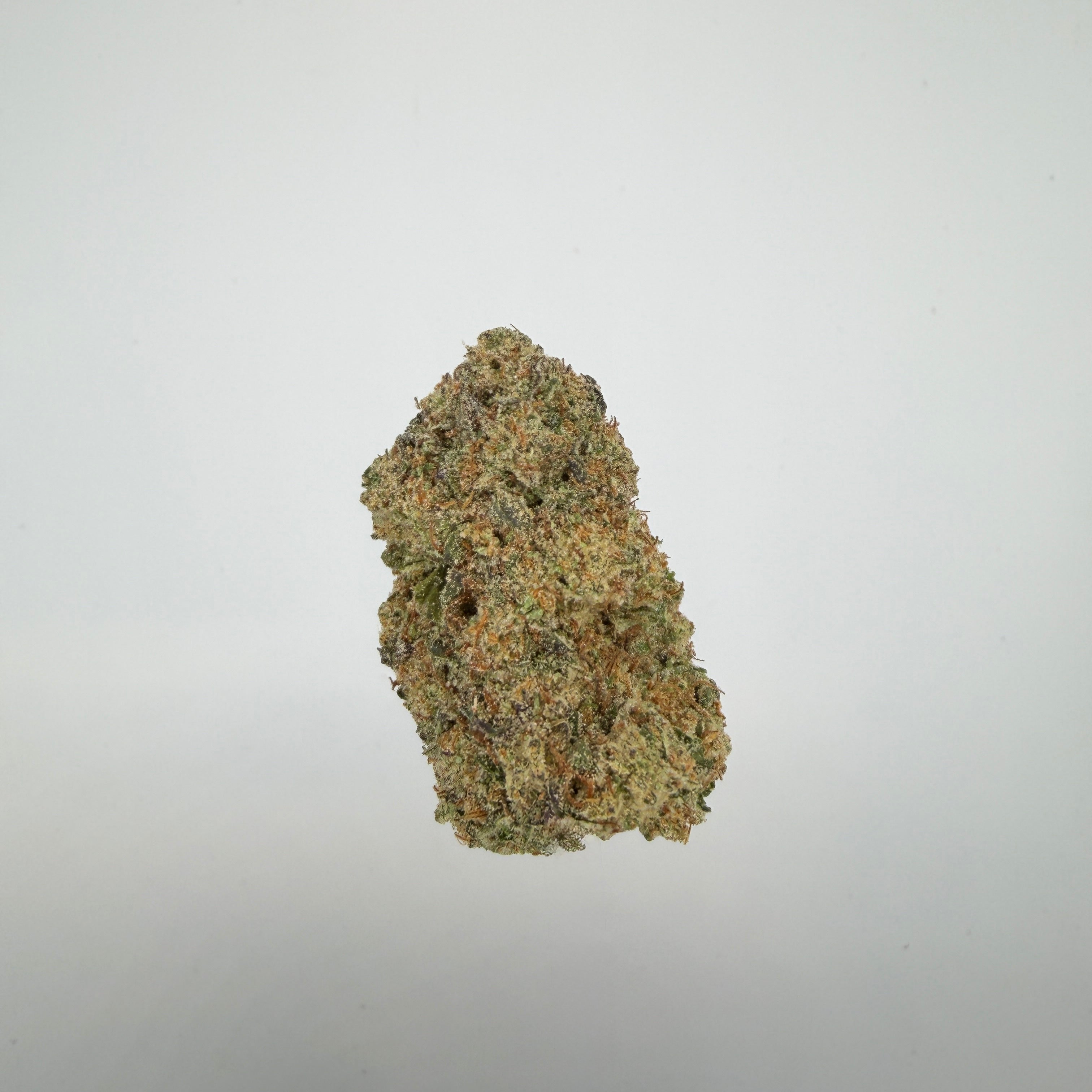 Collection of  in a gallery layout