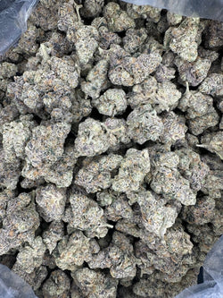 Collection of E85 Hemp - 51-323 in a gallery layout