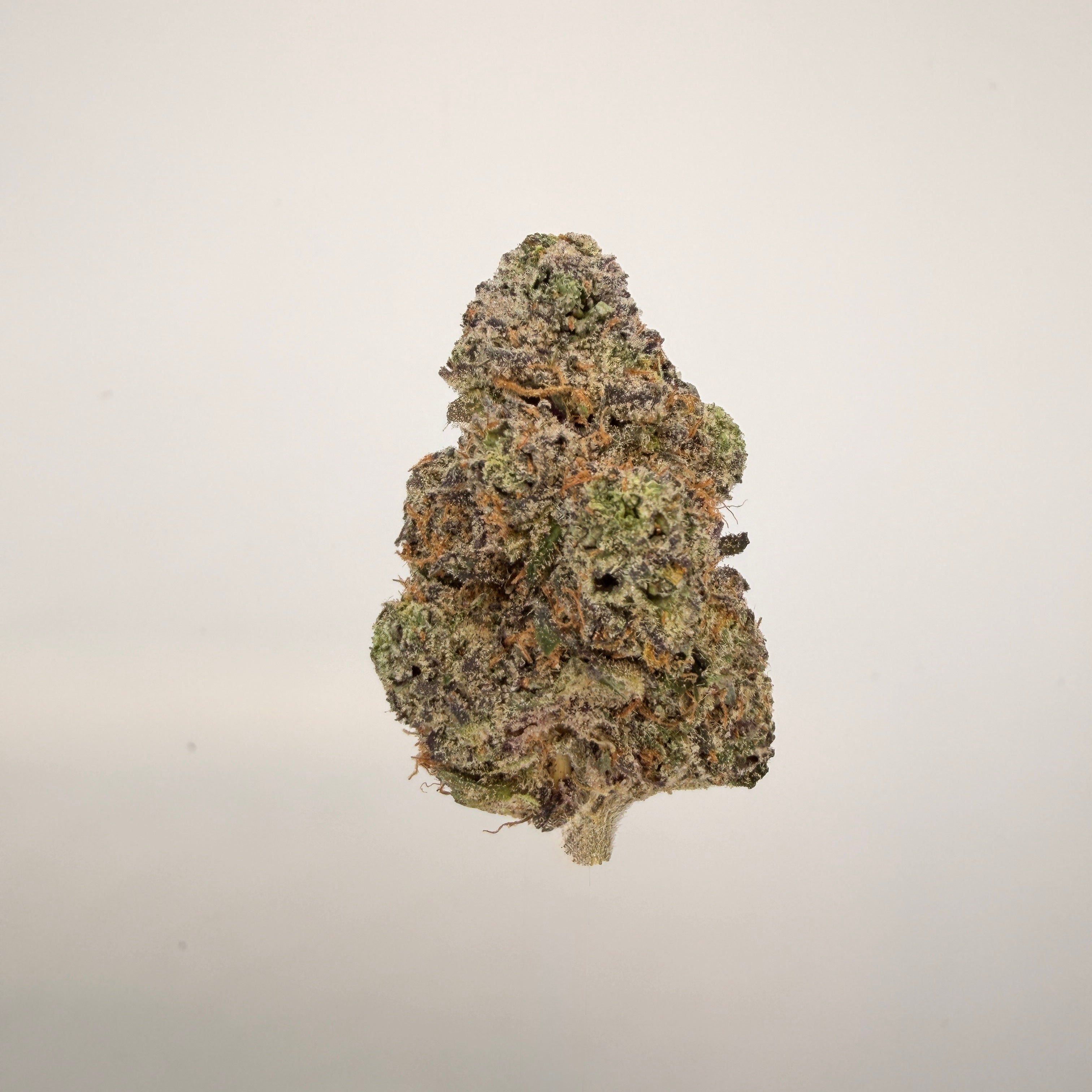 Collection of  in a gallery layout