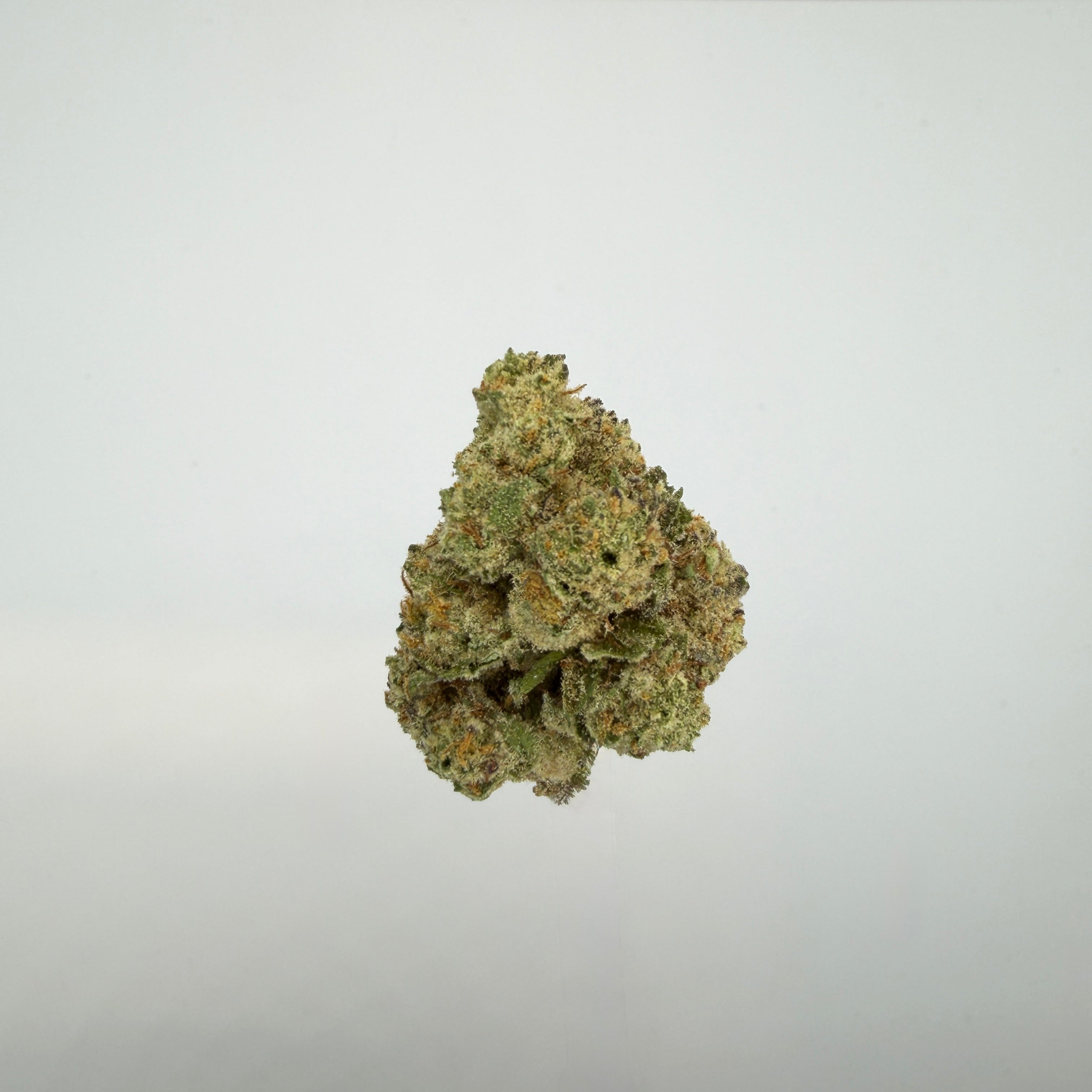 Collection of  in a gallery layout