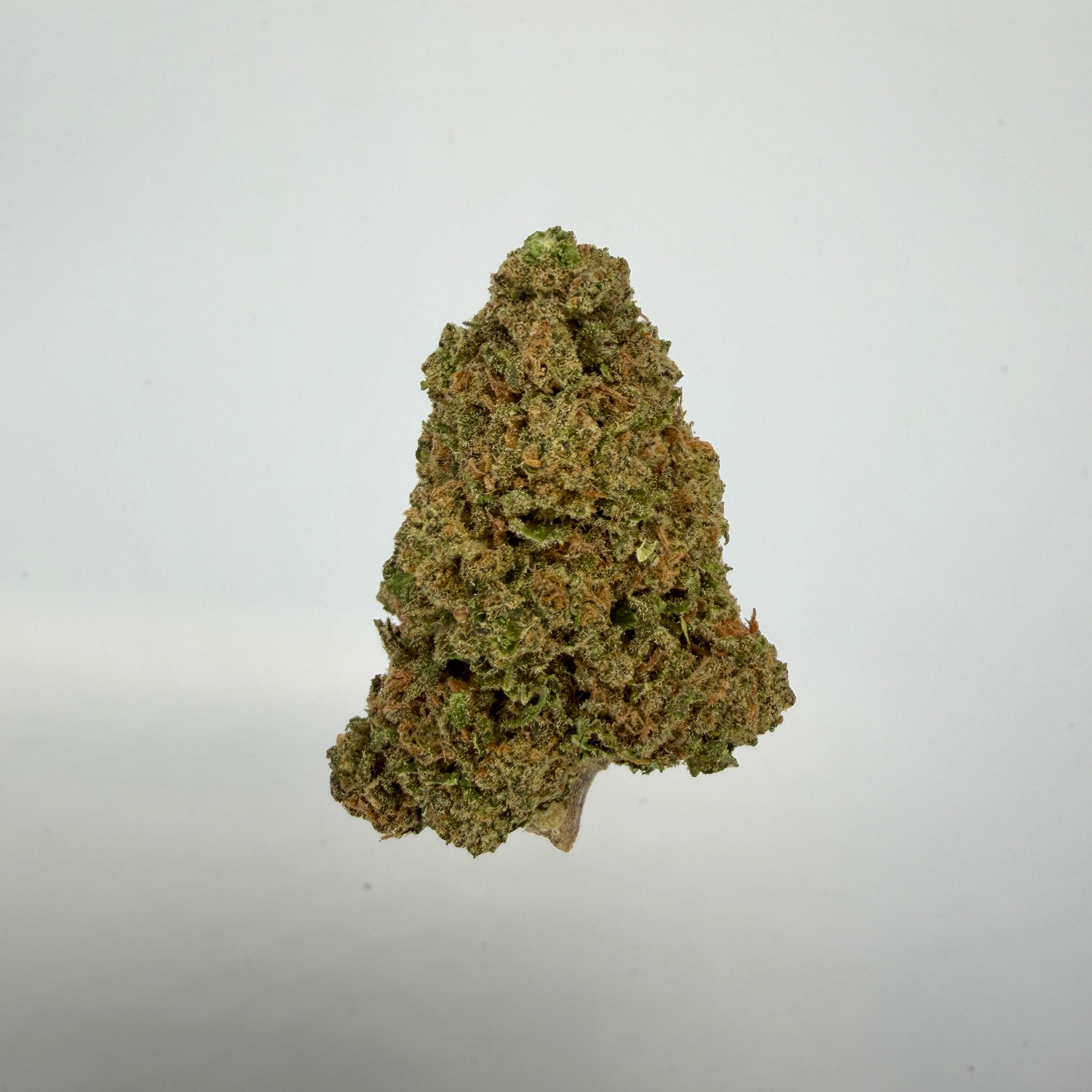 Collection of  in a gallery layout