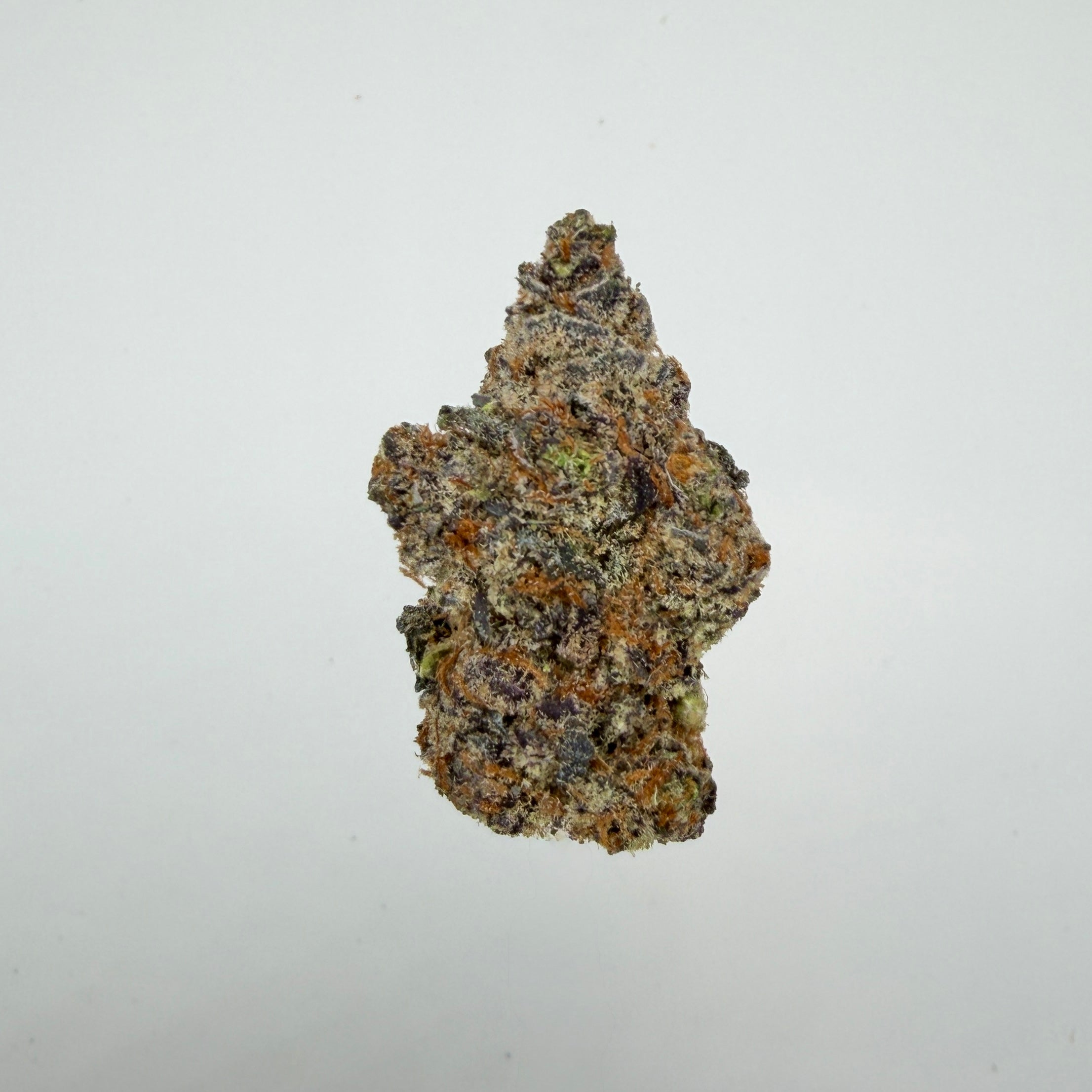 Collection of  in a gallery layout