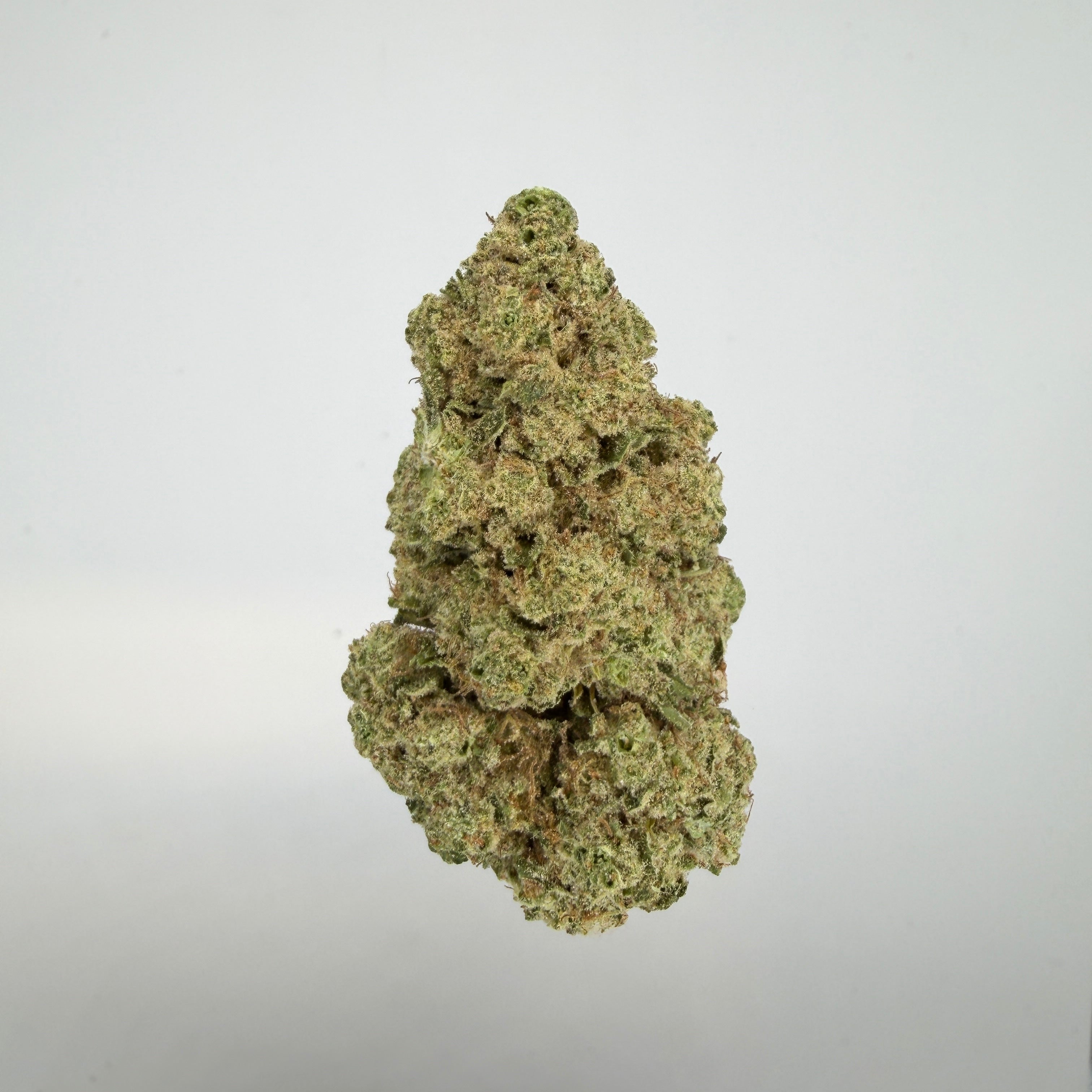 Collection of  in a gallery layout