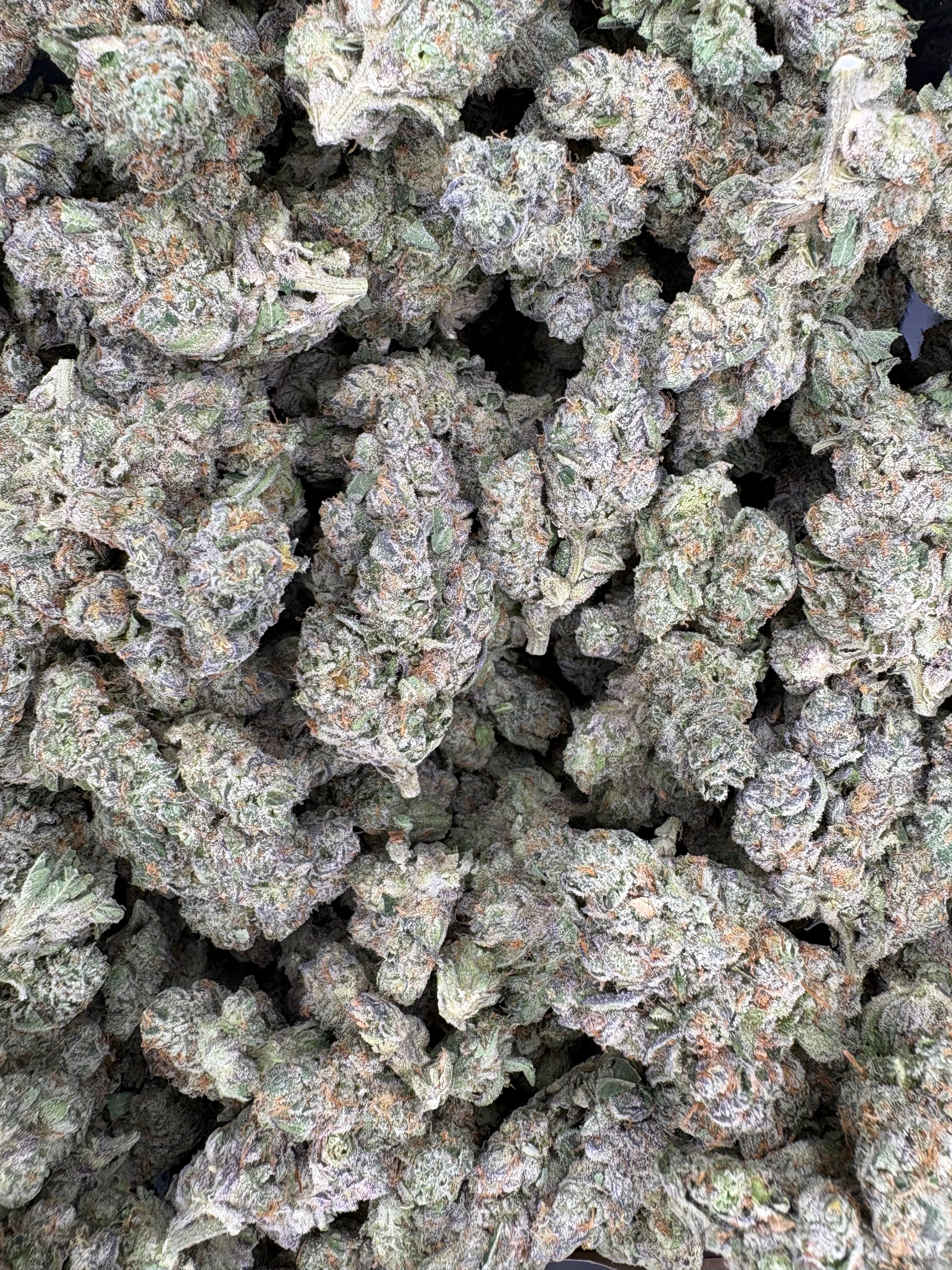 Collection of GMO Crasher Hemp - 11-326 in a gallery layout