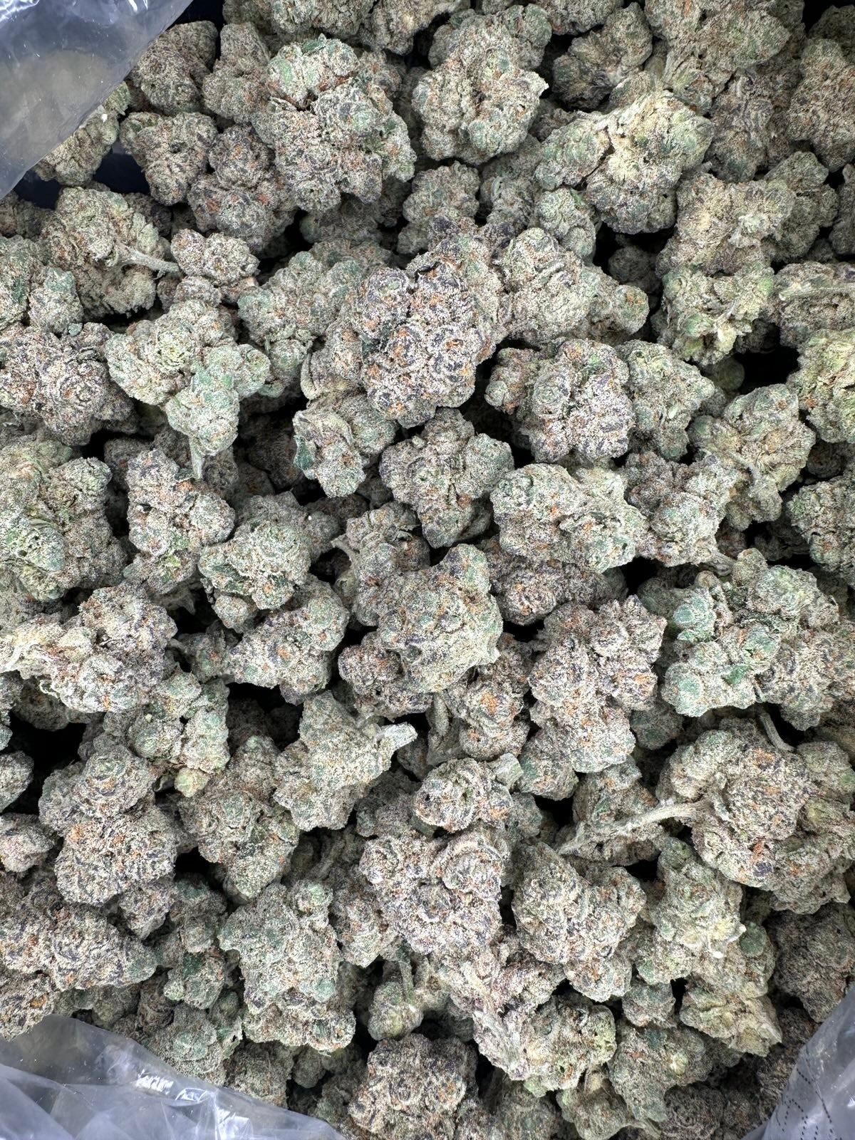 Collection of Gas Mintz Hemp - 51-323 in a gallery layout