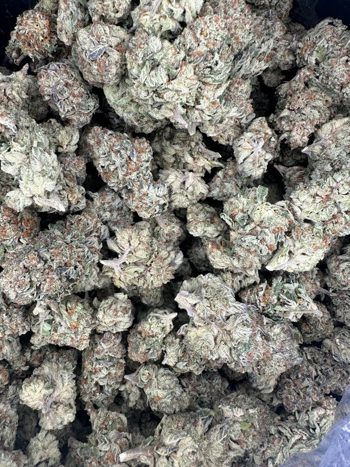 Collection of Gelato Hemp in a gallery layout