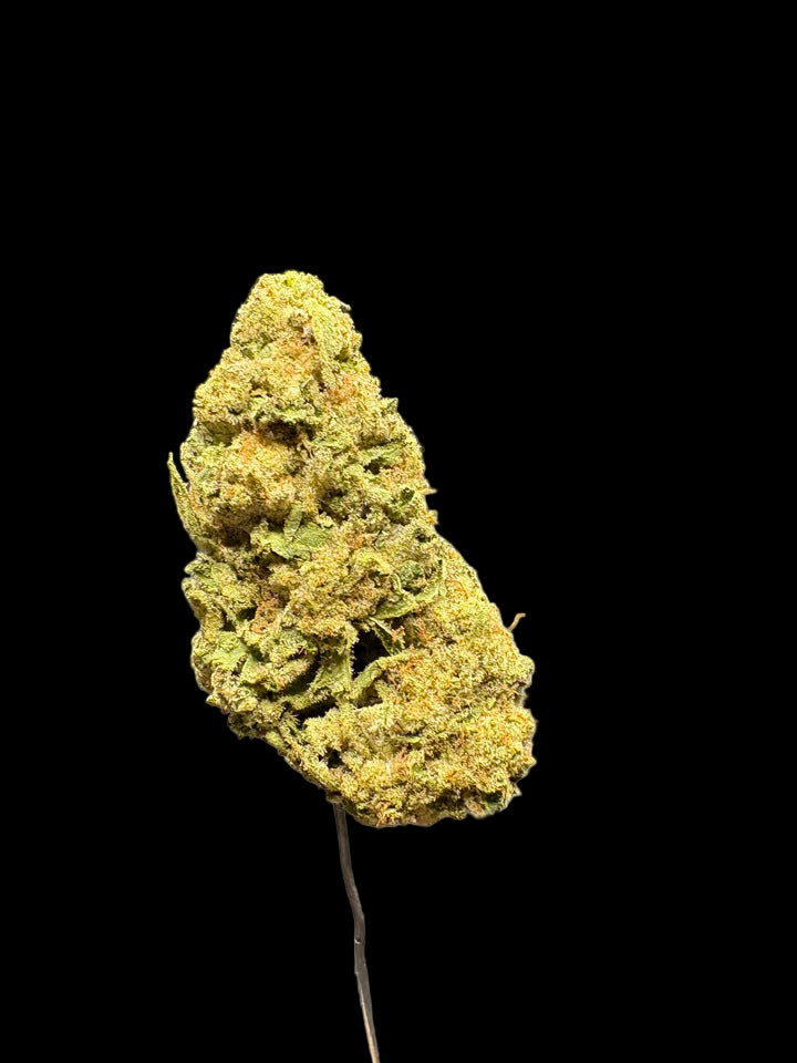 Collection of Eden Distro Wholesale in a gallery layout