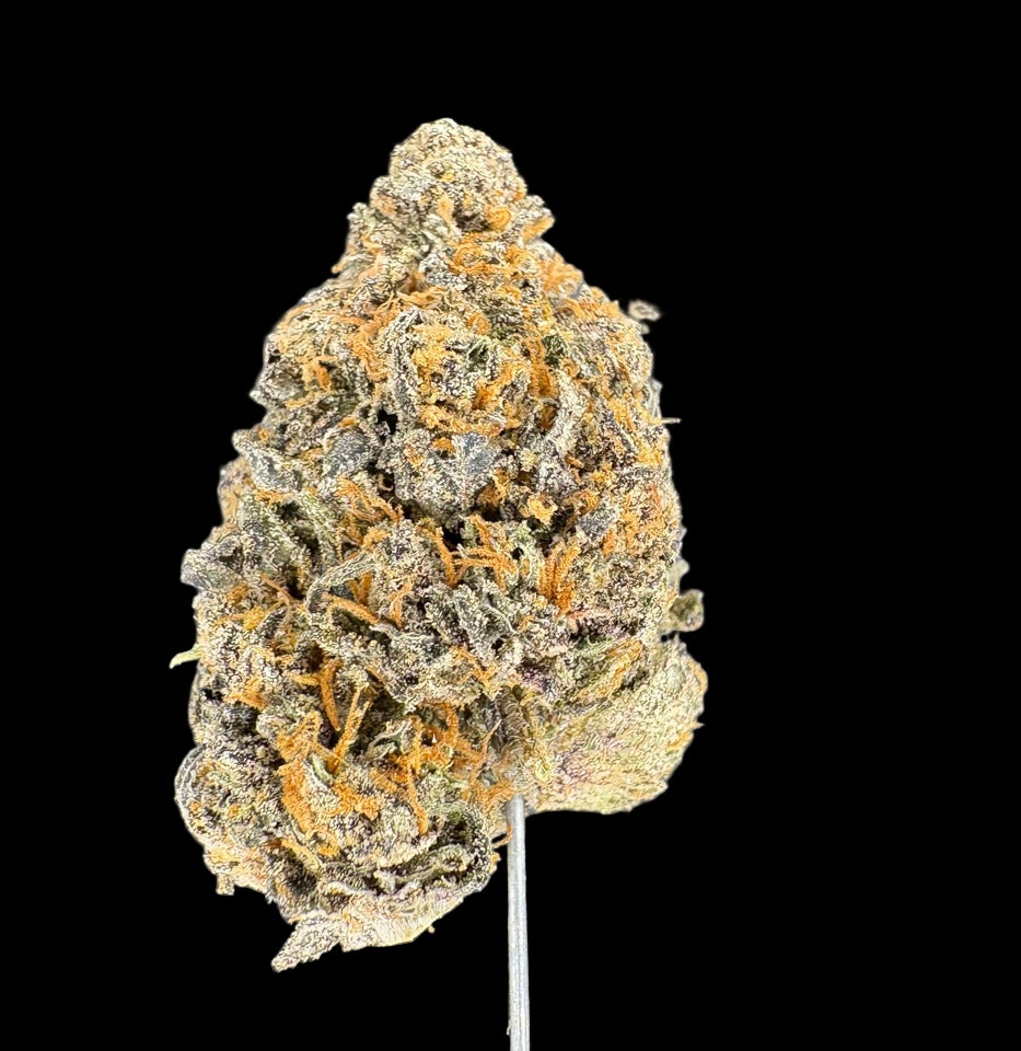 Collection of  in a gallery layout