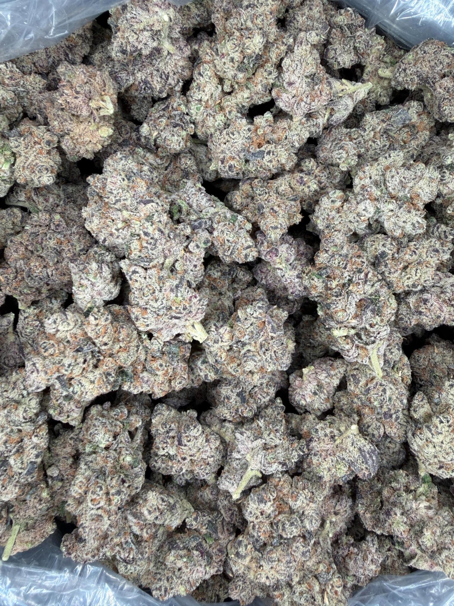 Collection of HEMP FLOWER | Lizard Burger in a gallery layout