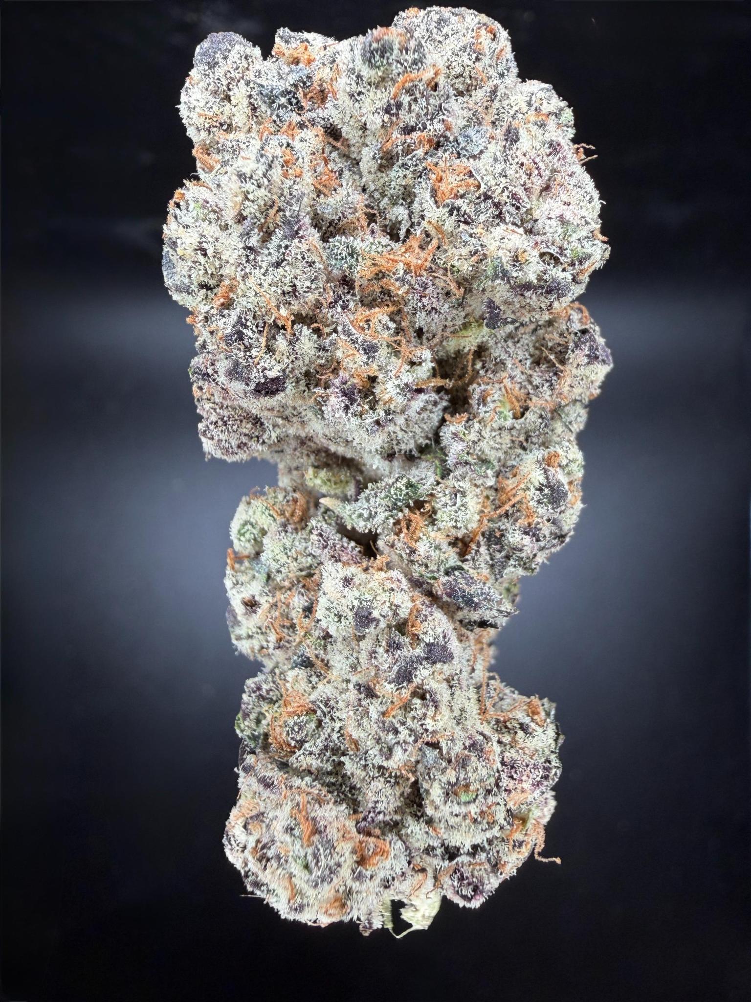 Collection of HEMP FLOWER | Lizard Burger in a gallery layout