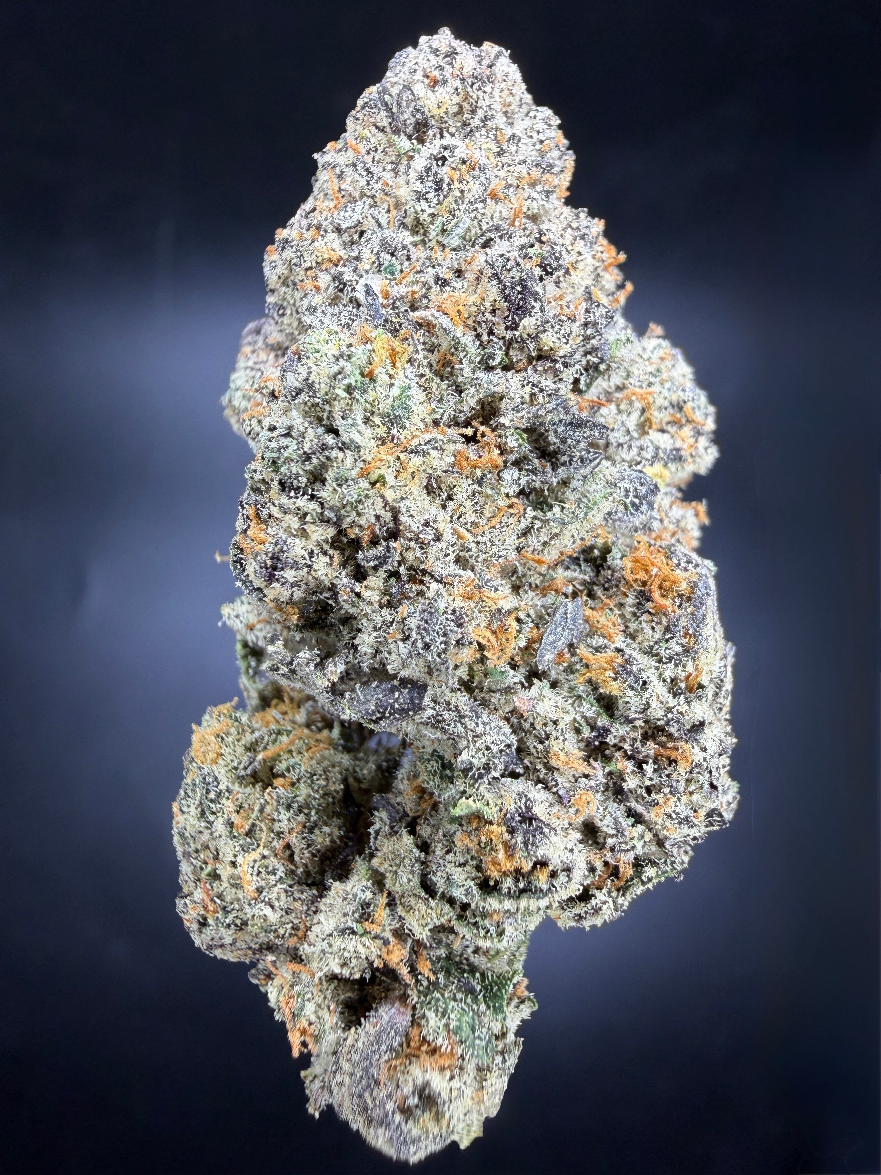 Collection of HEMP FLOWER | Mobz in a gallery layout