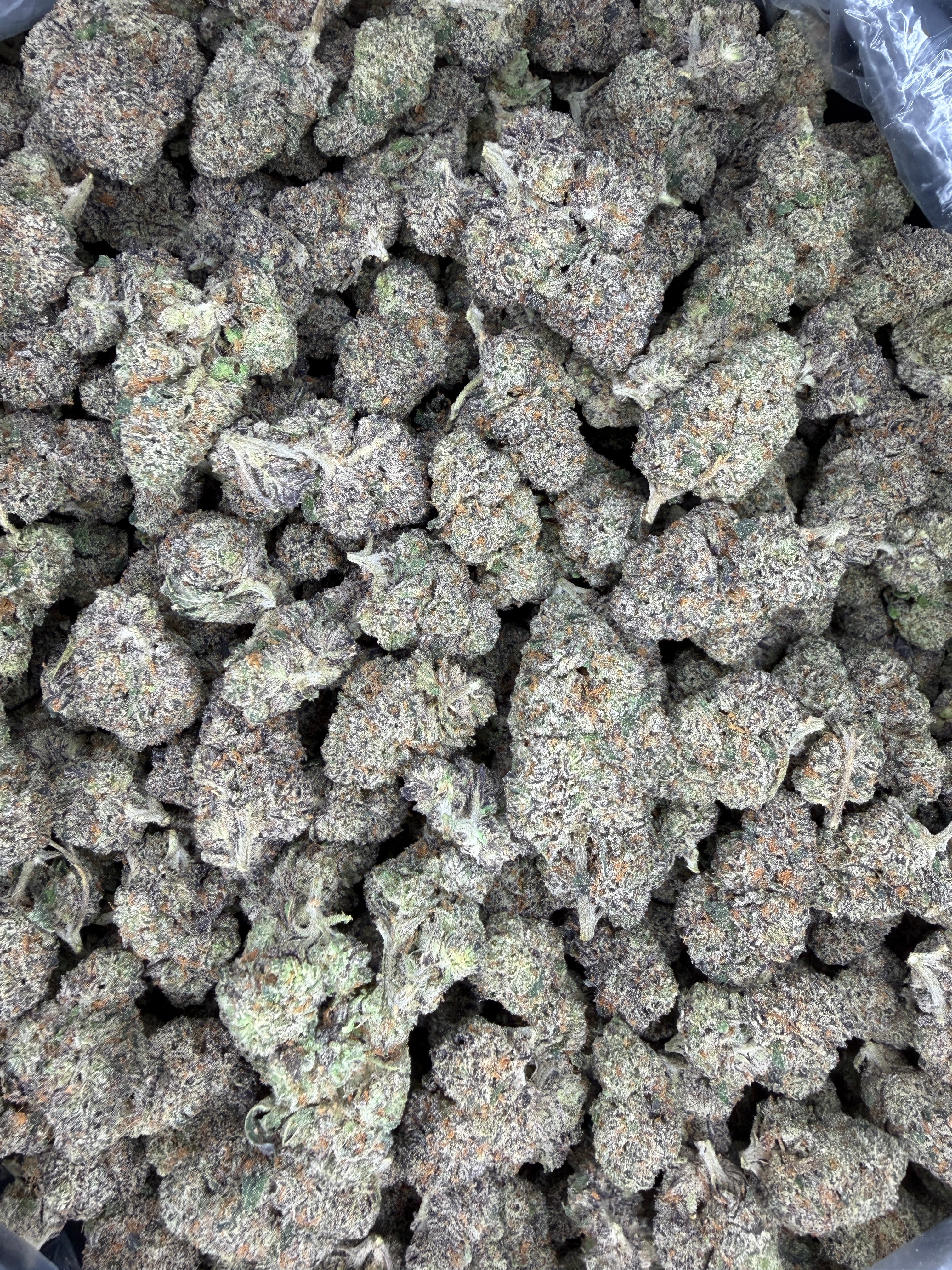 Collection of HEMP FLOWER | Red Bullz in a gallery layout