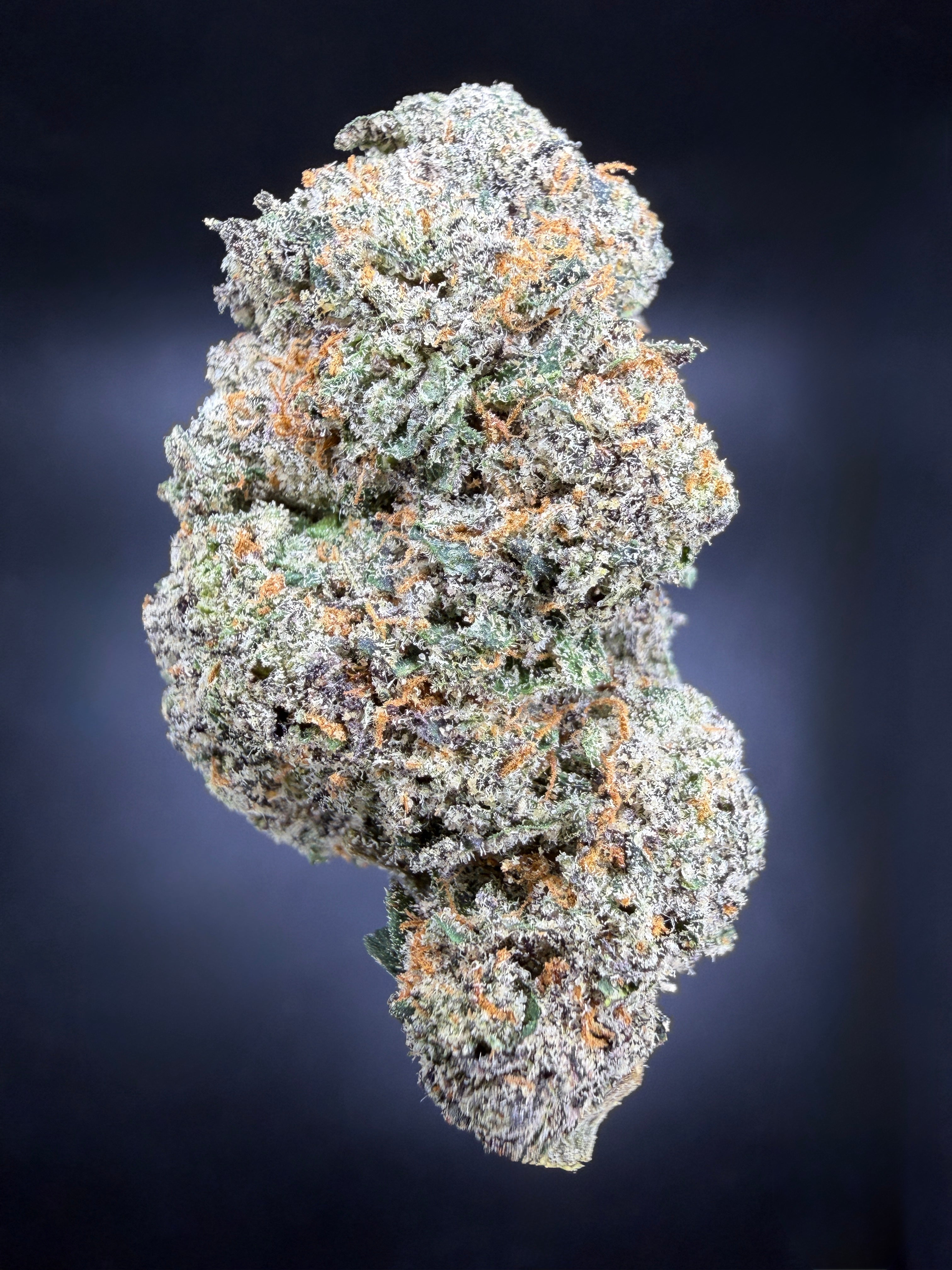 Collection of HEMP FLOWER | Red Bullz in a gallery layout