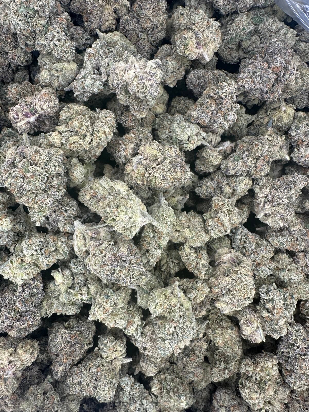Collection of Sherbert Hemp - 22.366% in a gallery layout