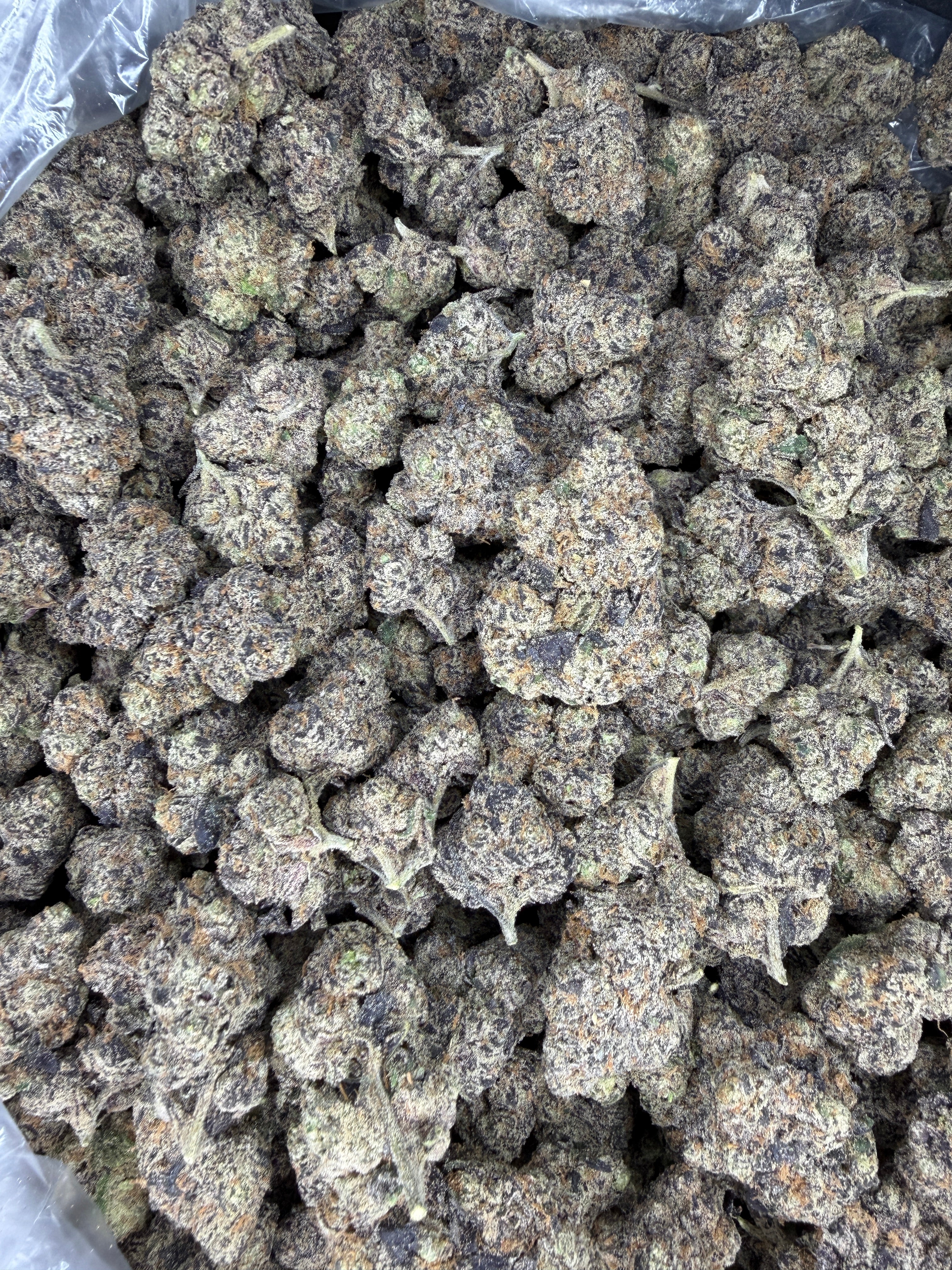 Collection of HEMP FLOWER | Super Runtz in a gallery layout