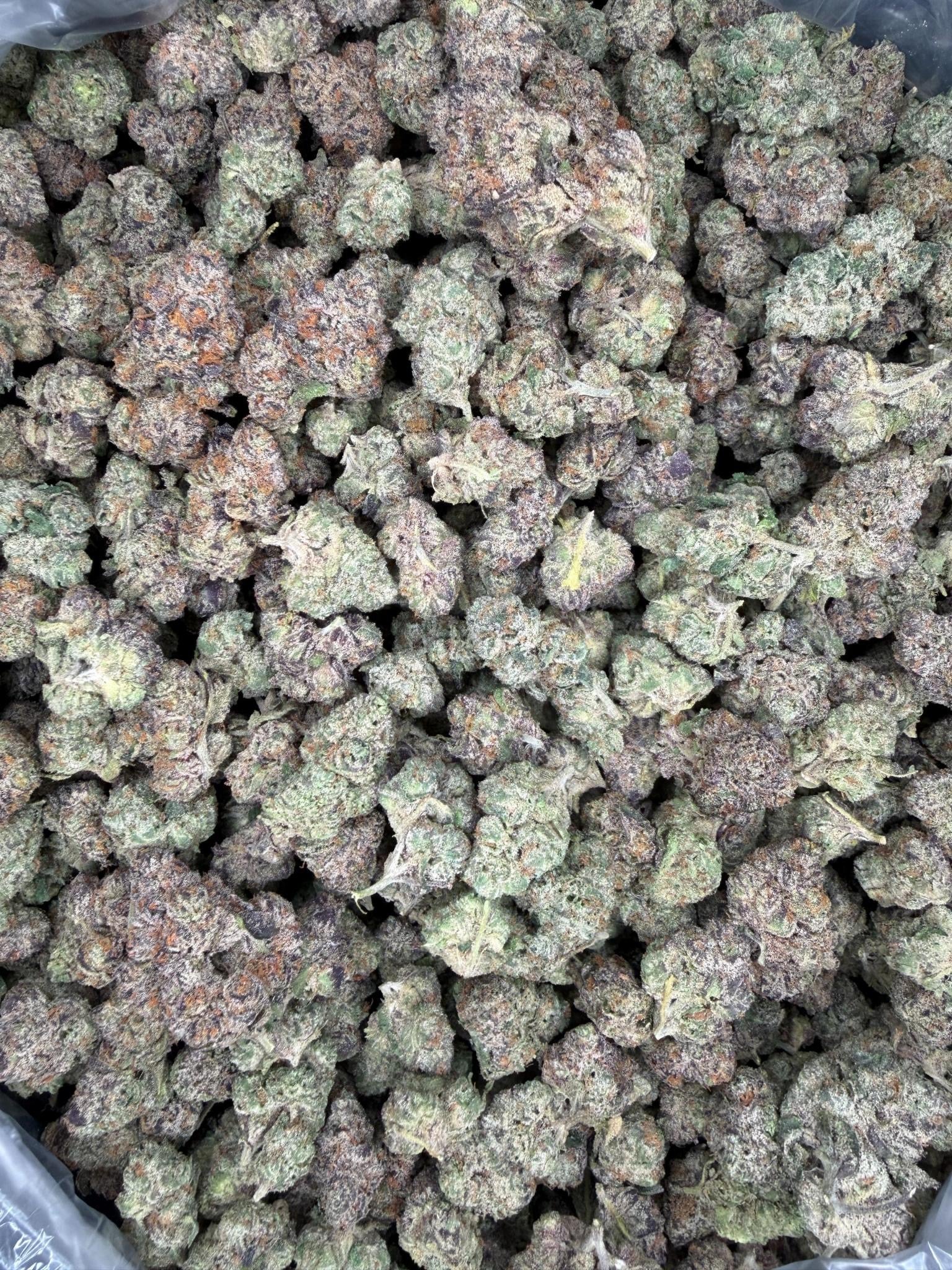 Collection of HEMP FLOWER | Super Runtz in a gallery layout