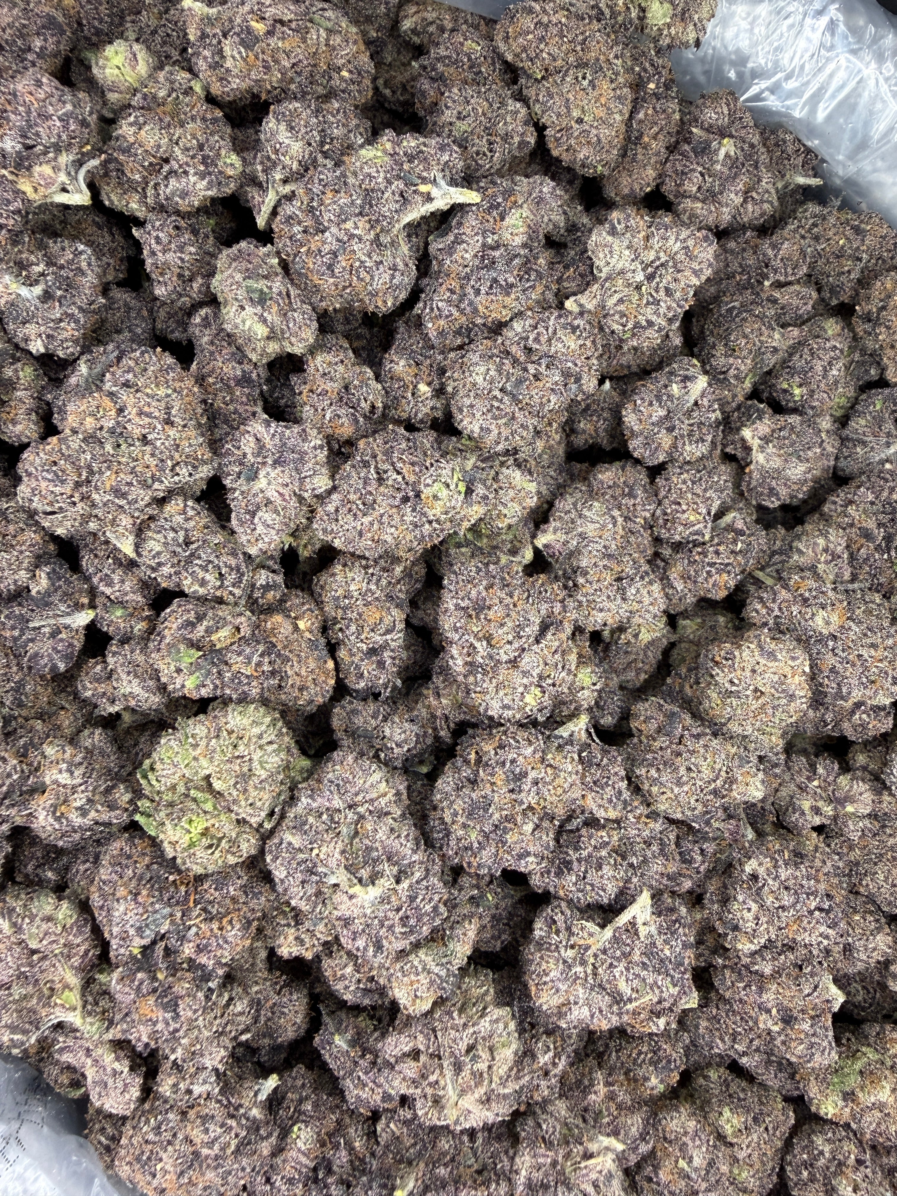 Collection of HEMP FLOWER | Super Sauce in a gallery layout