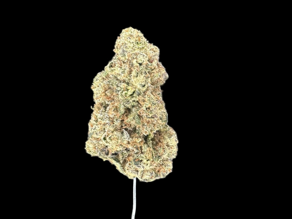 Collection of  in a gallery layout