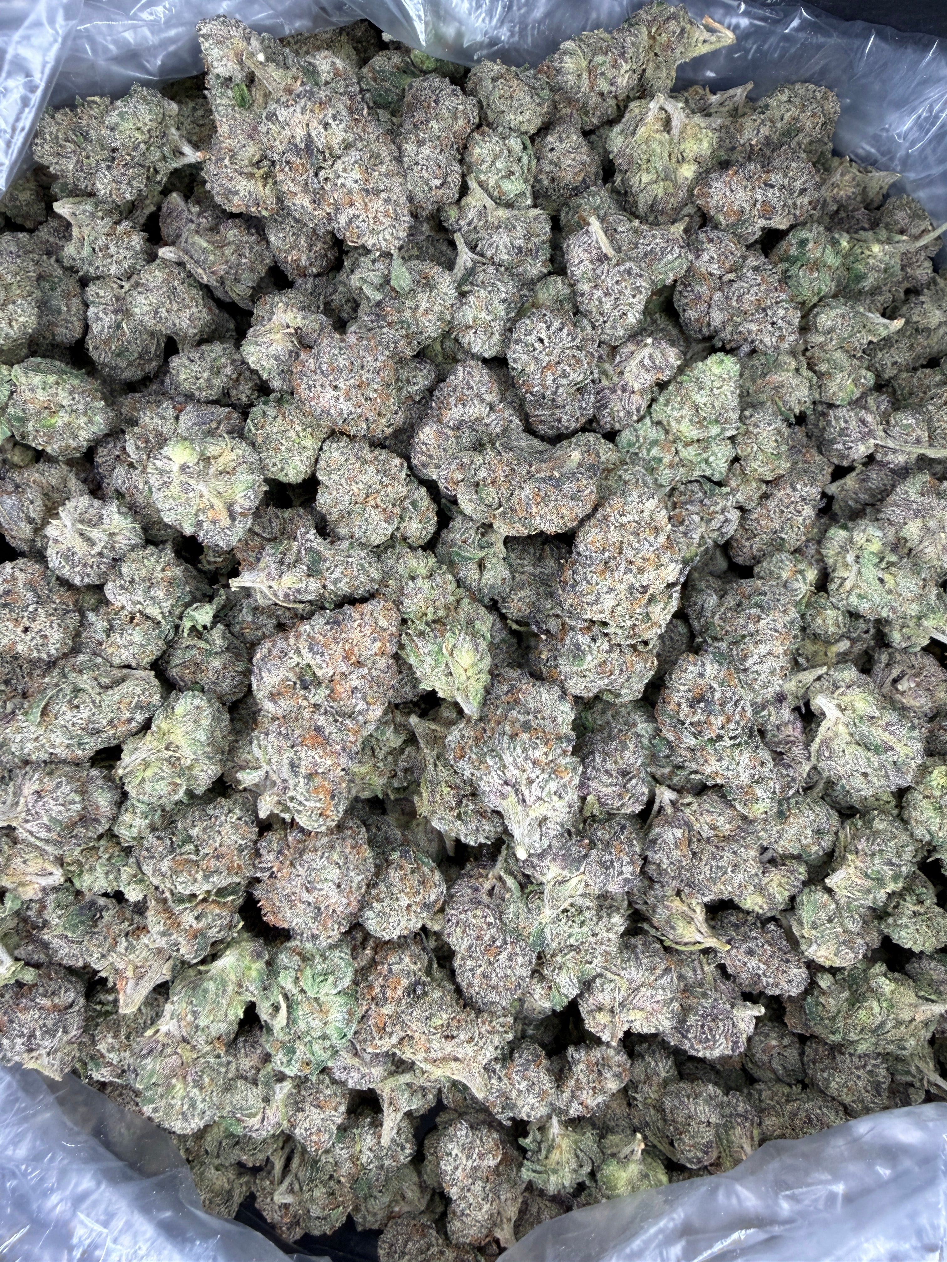 Collection of HEMP FLOWER | Warheads in a gallery layout