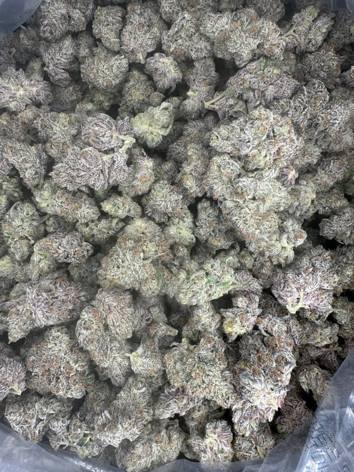 Collection of Daiquiri Hemp in a gallery layout