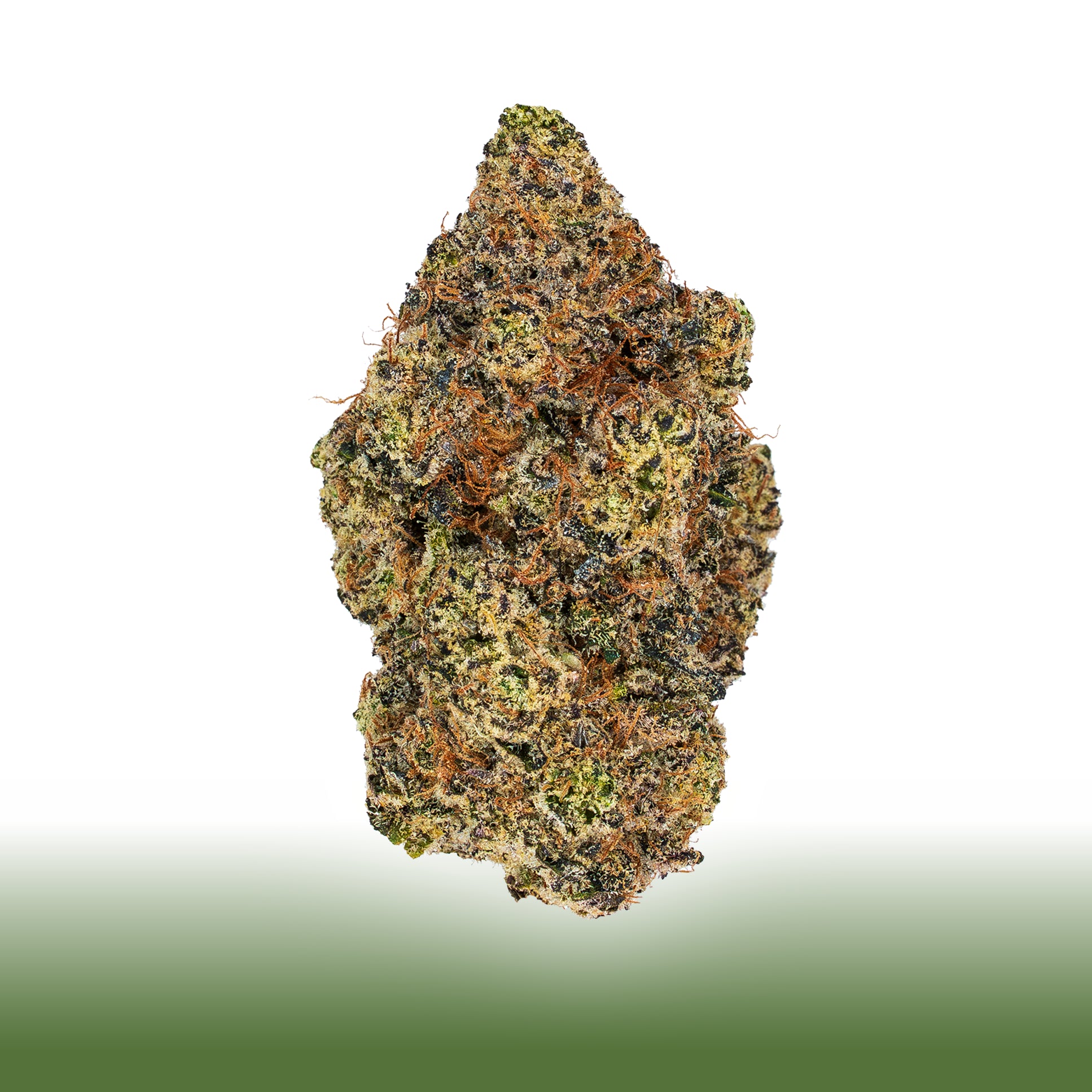 Collection of  in a gallery layout