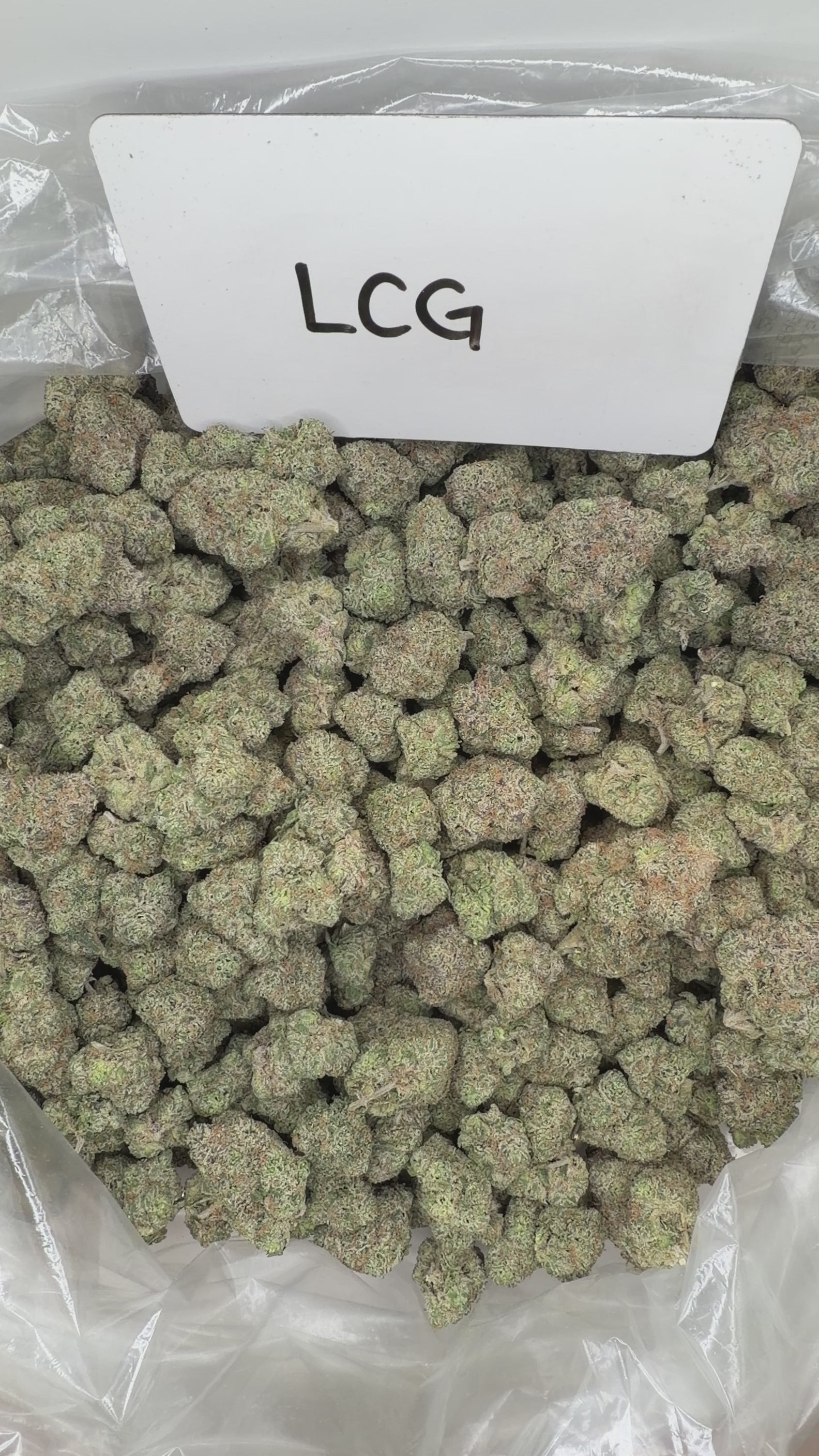 Collection of  in a gallery layout