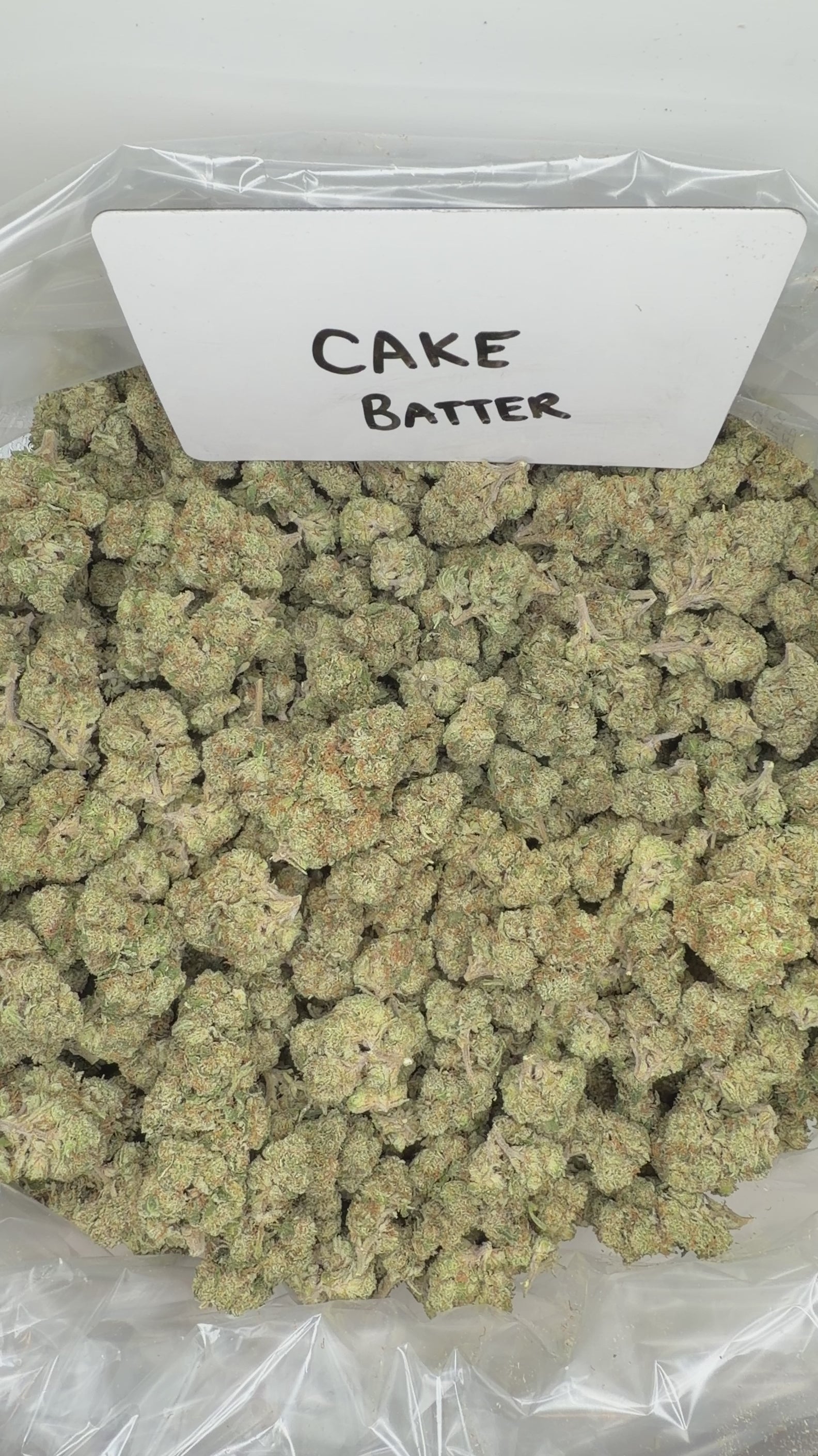 Collection of  in a gallery layout