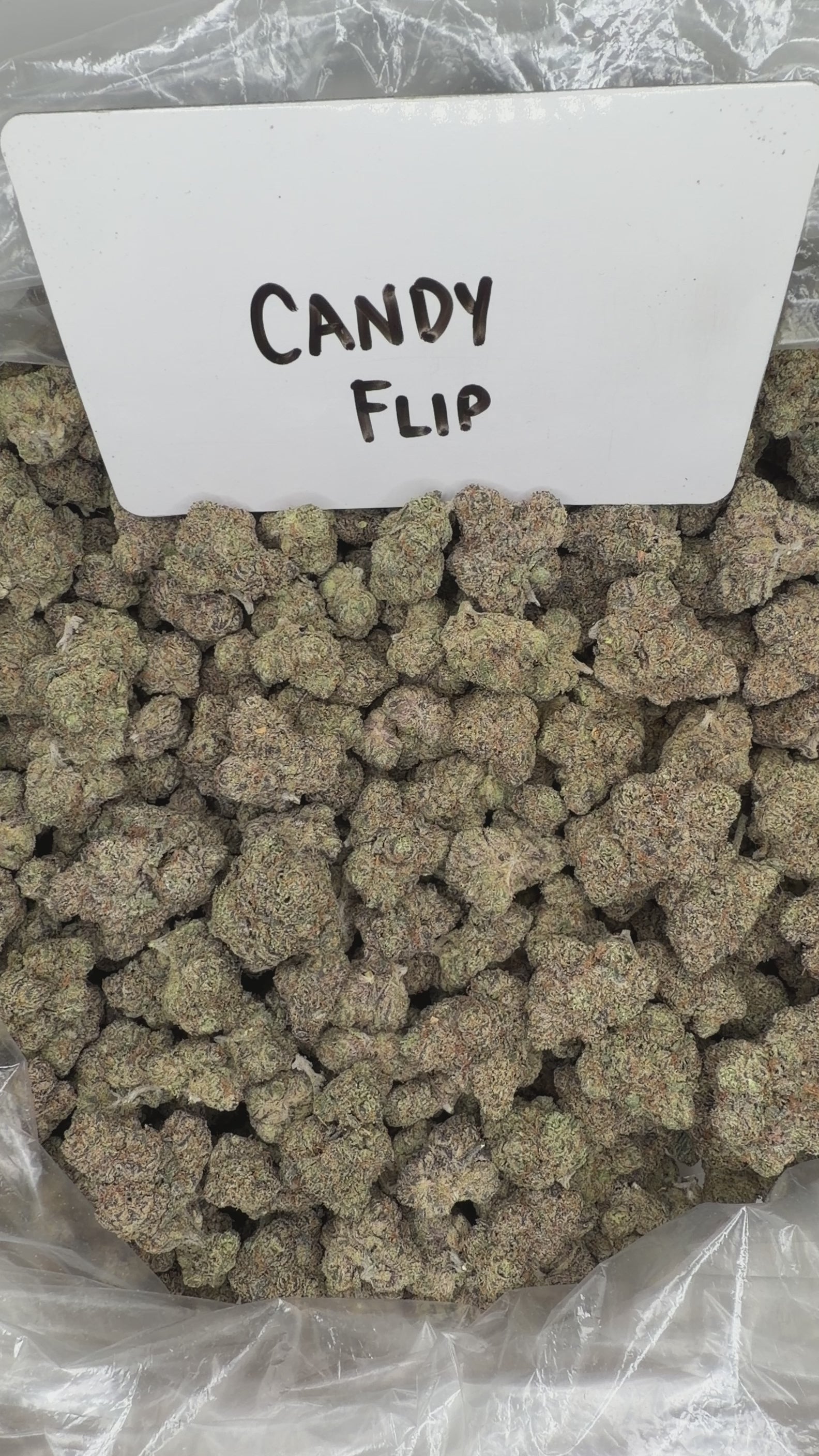 Collection of  in a gallery layout