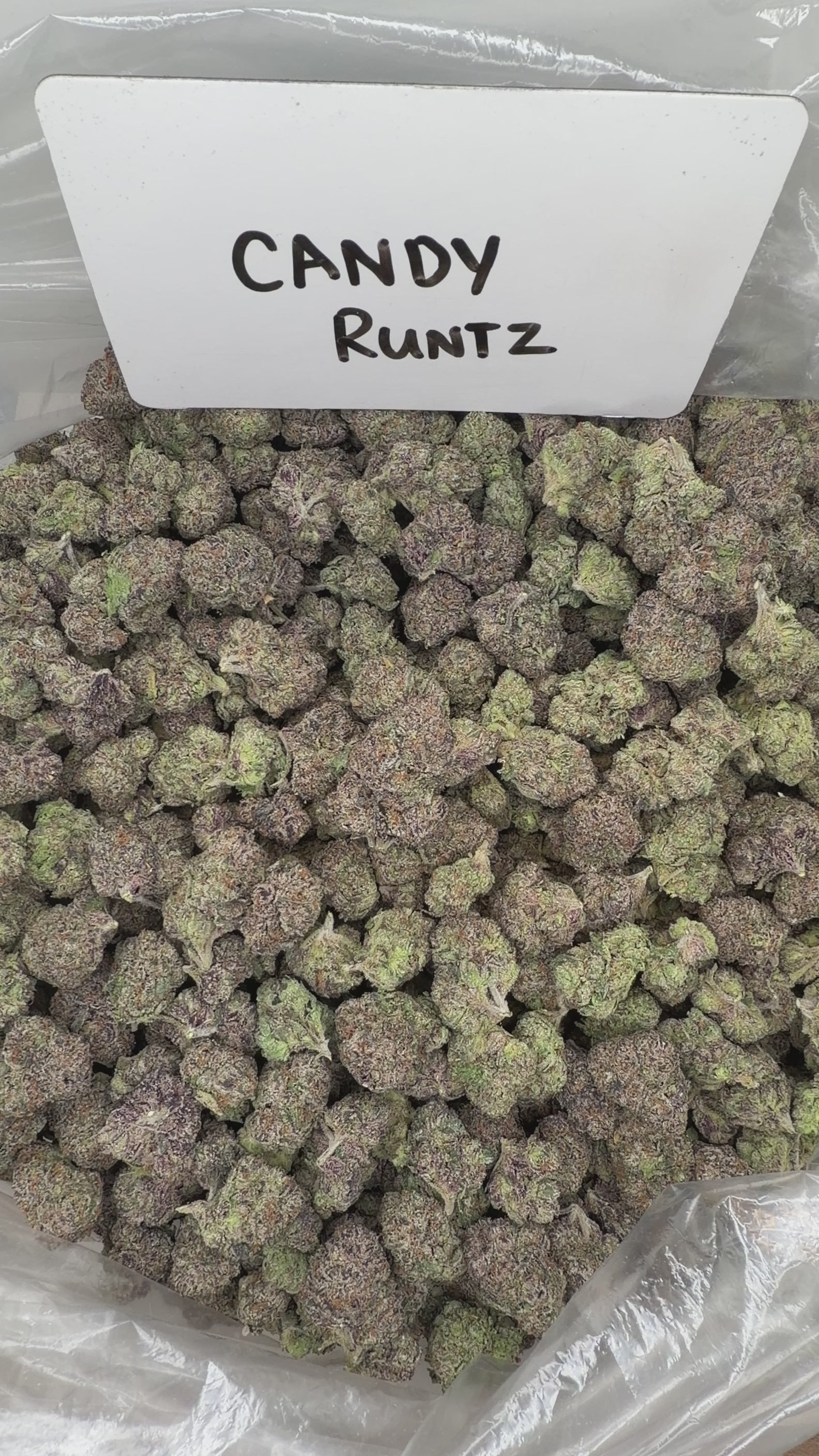 Collection of  in a gallery layout