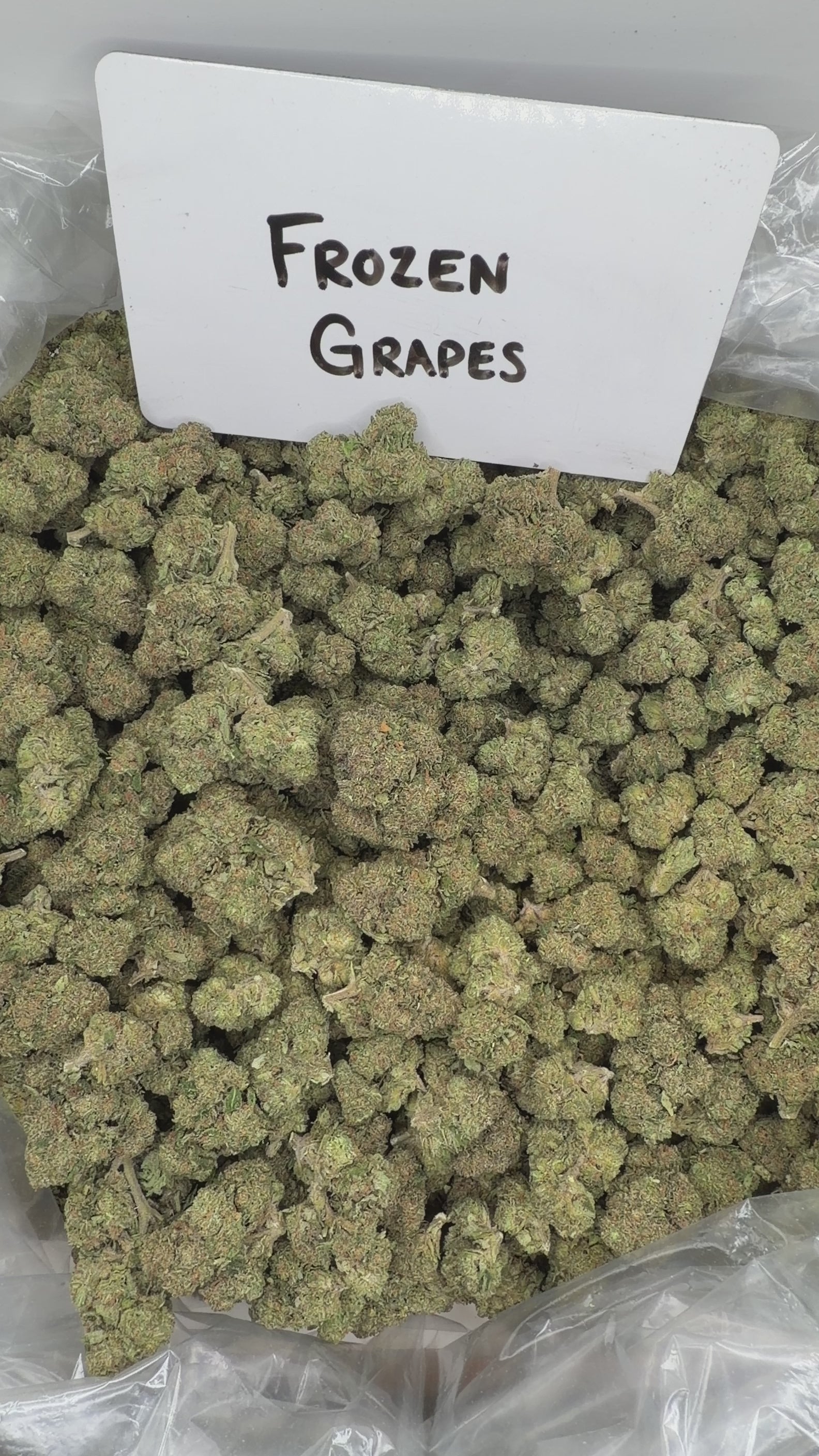 Collection of  in a gallery layout