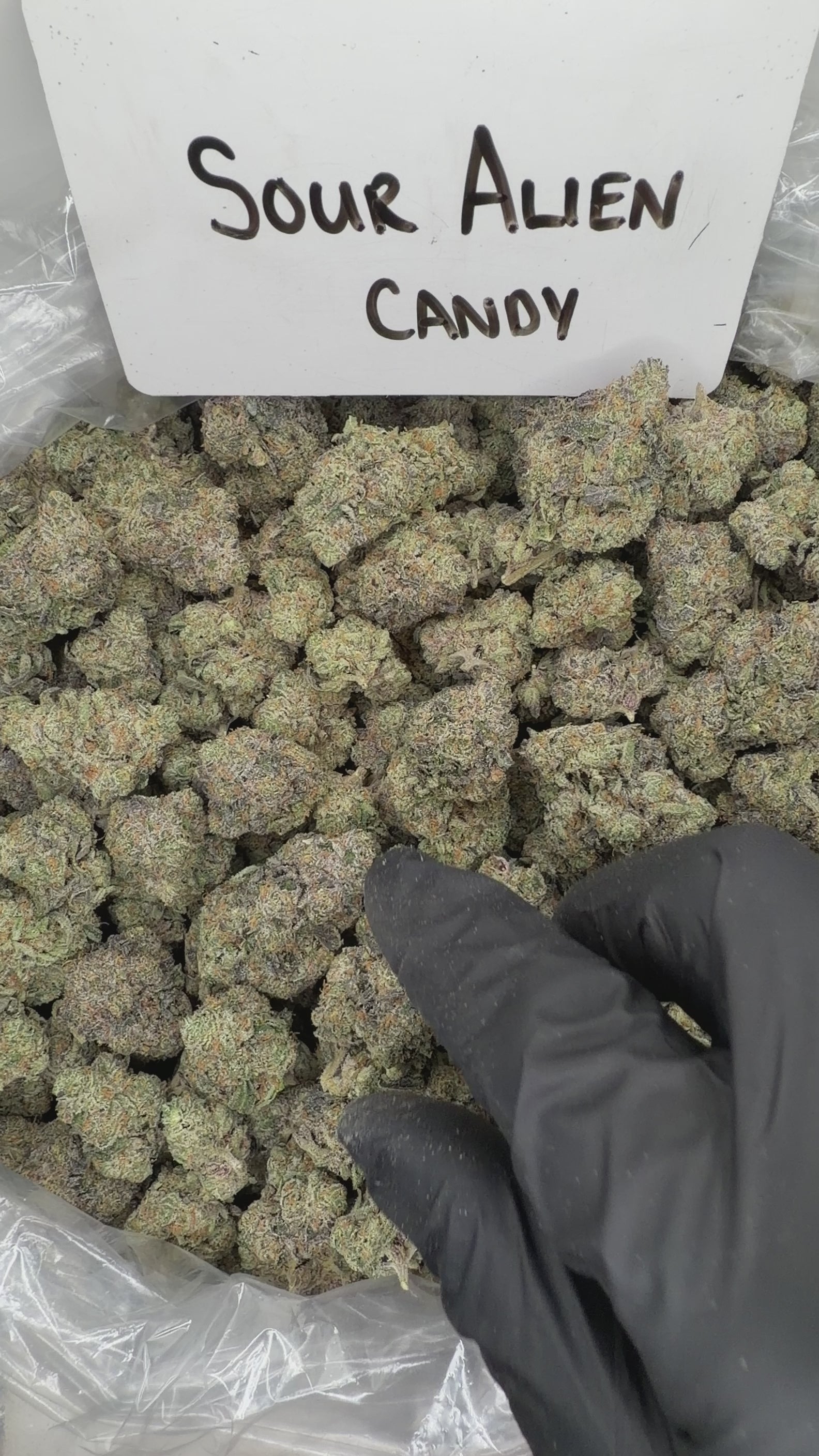 Collection of HEMP FLOWER | Sour Alien Candy in a gallery layout