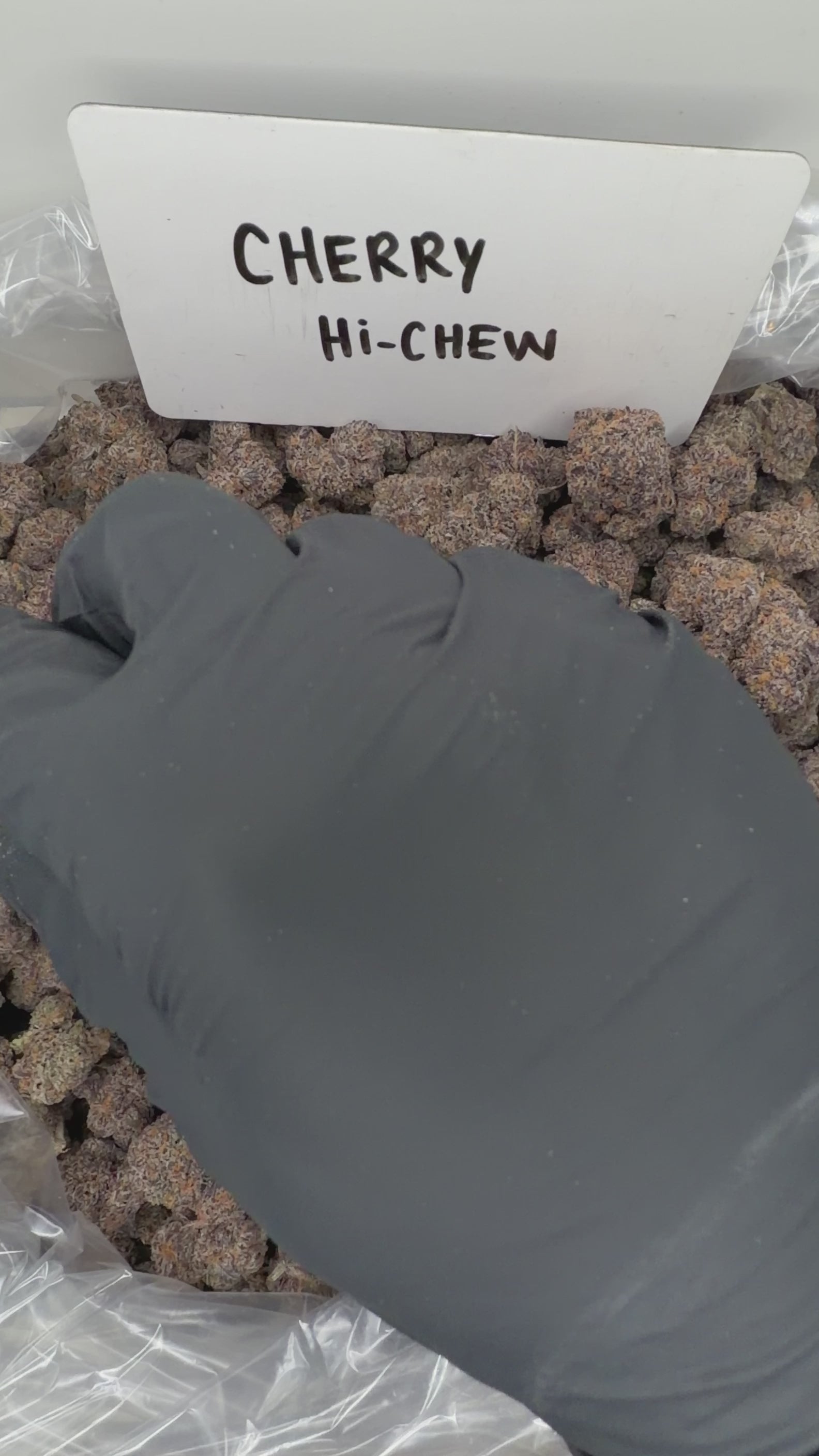 Collection of HEMP FLOWER | Cherry Hi-Chew in a gallery layout