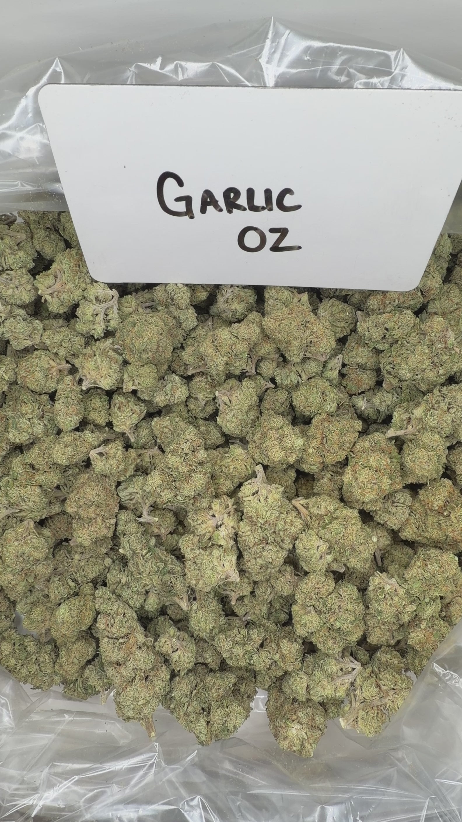 Collection of  in a gallery layout