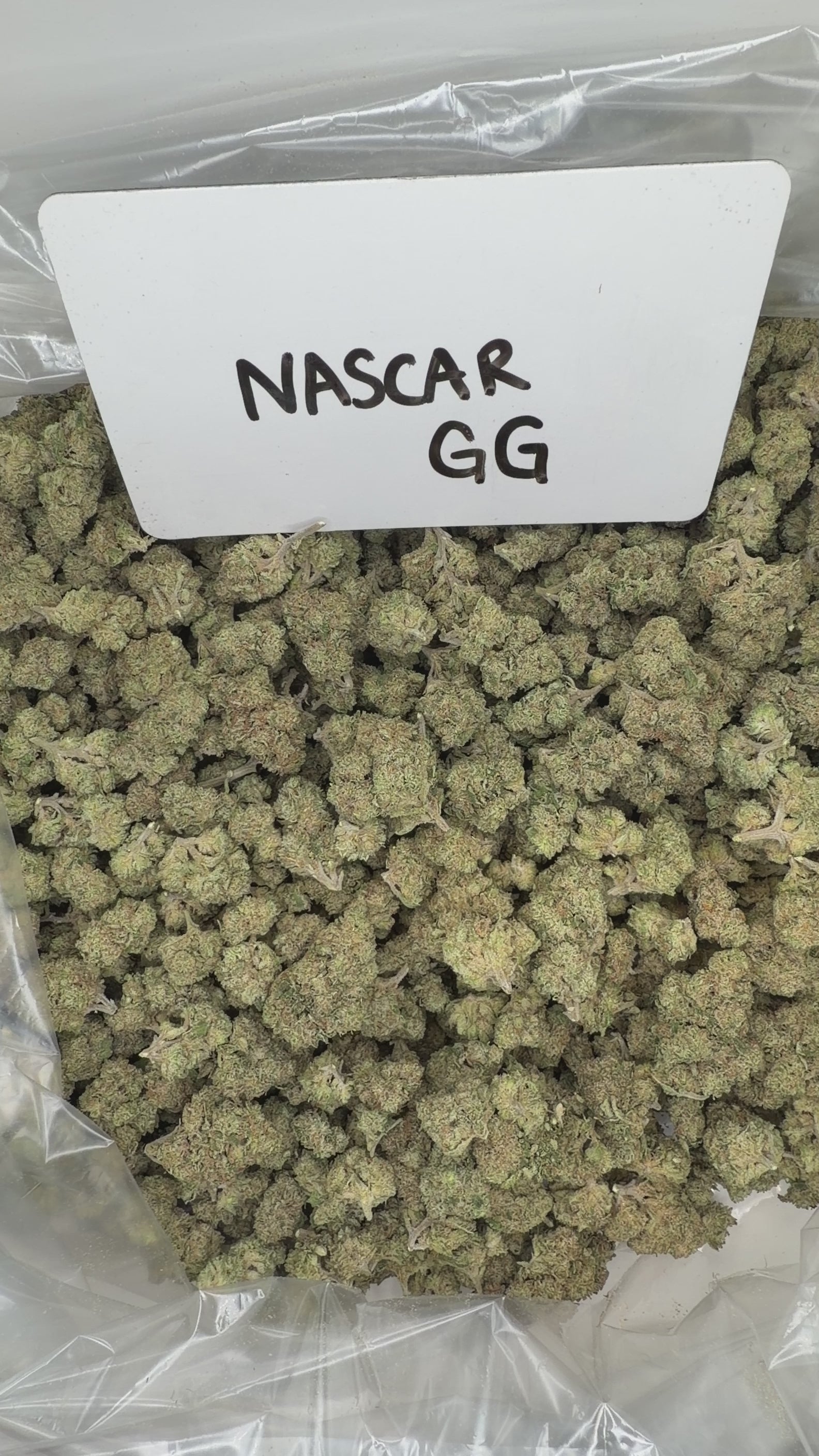 Collection of  in a gallery layout