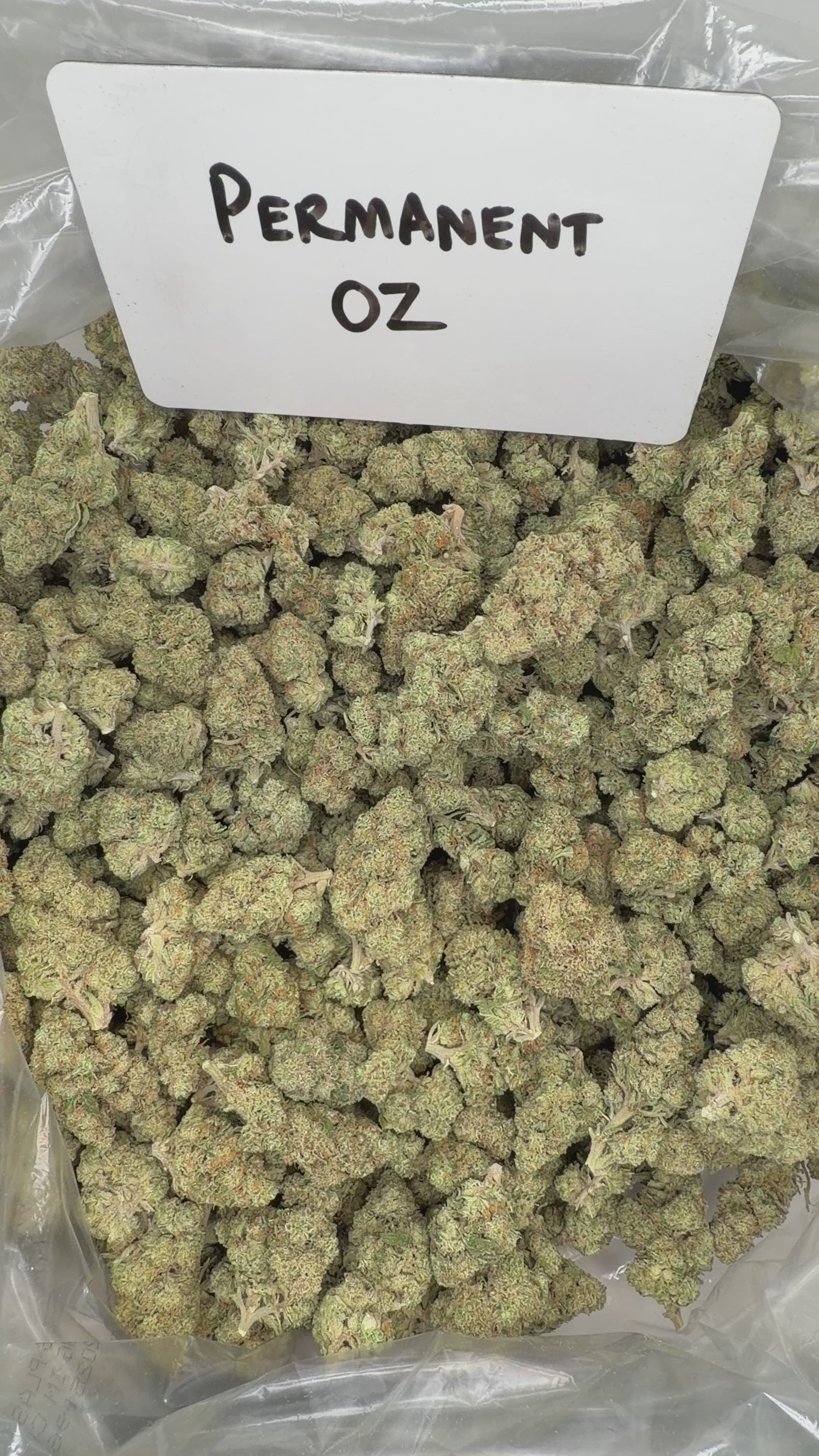 Collection of  in a gallery layout