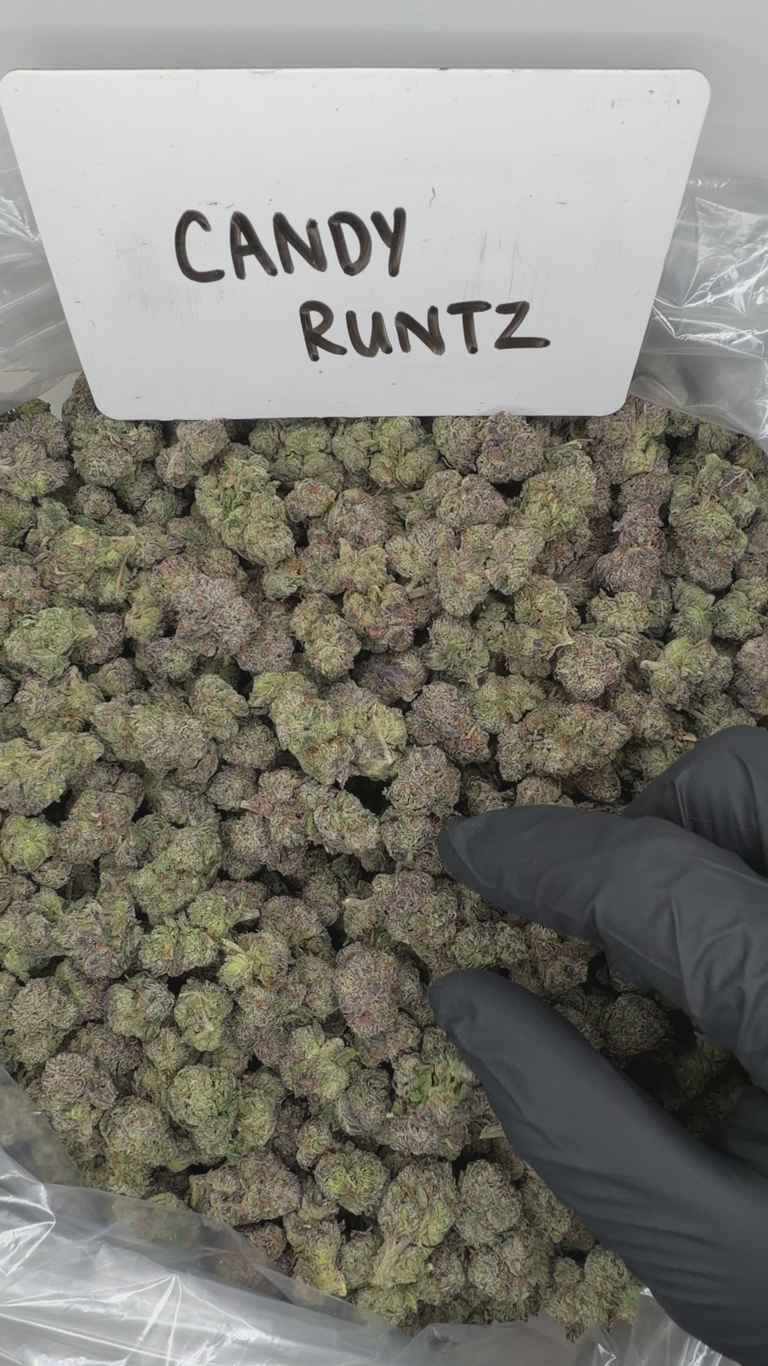 Collection of HEMP FLOWER | Candy Runtz in a gallery layout
