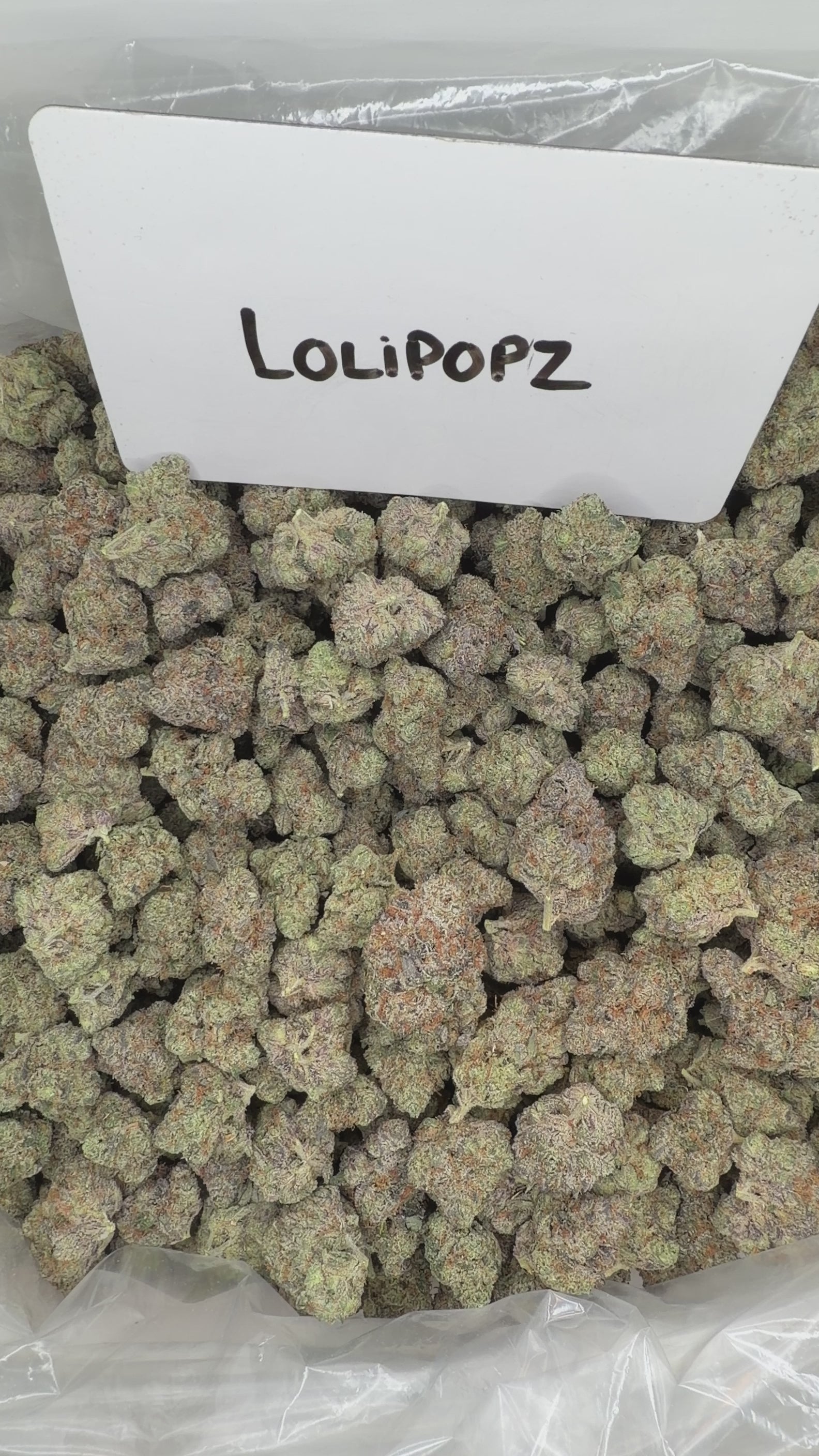 Collection of  in a gallery layout