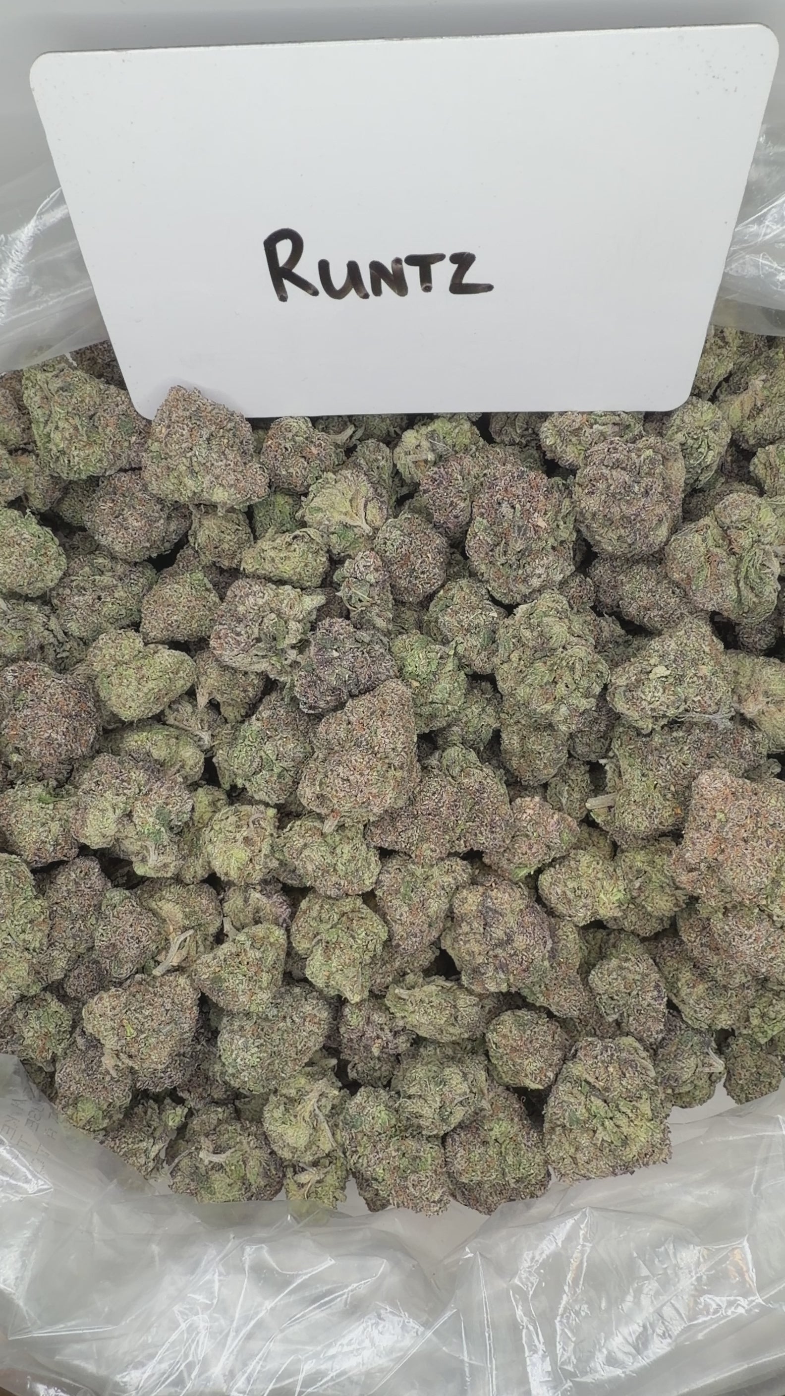 Collection of  in a gallery layout