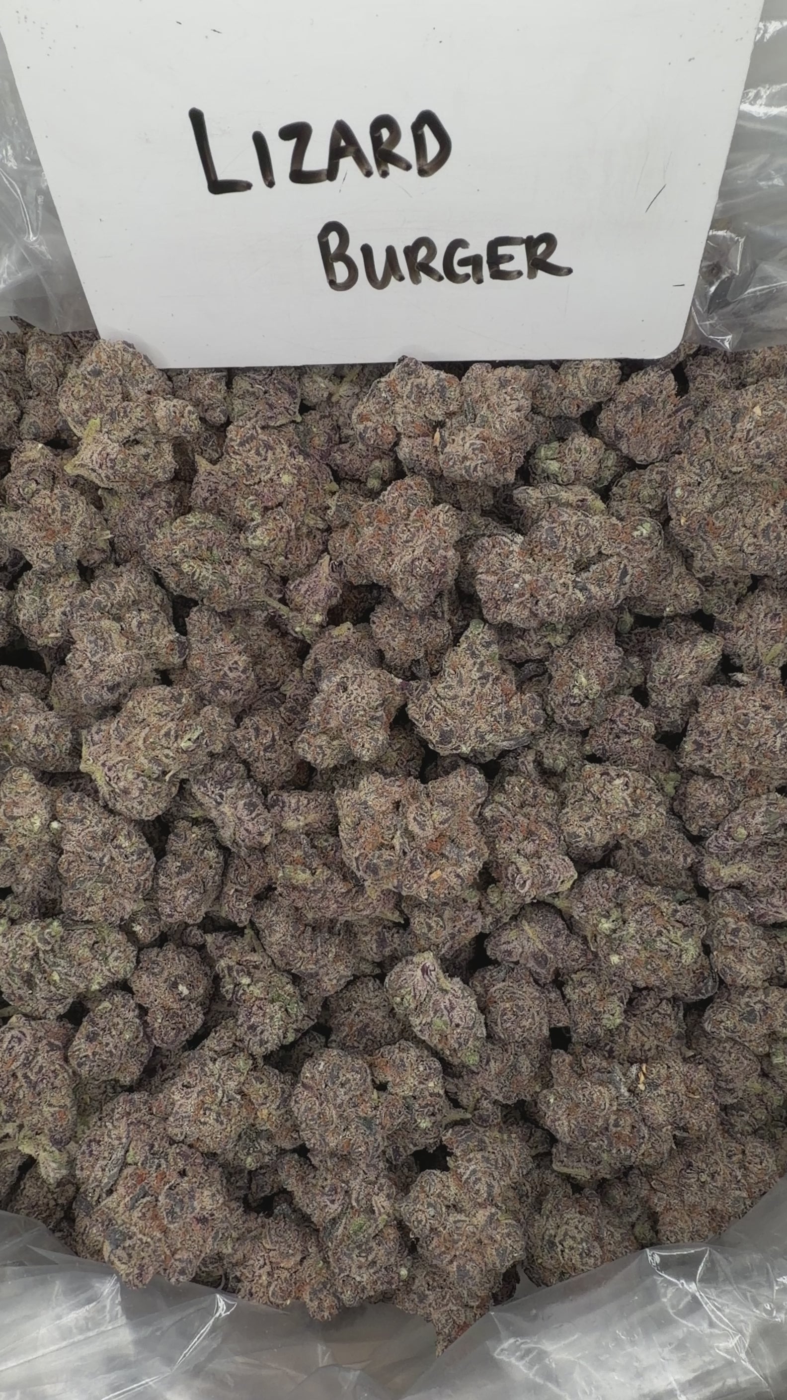 Collection of HEMP FLOWER | Lizard Burger in a gallery layout