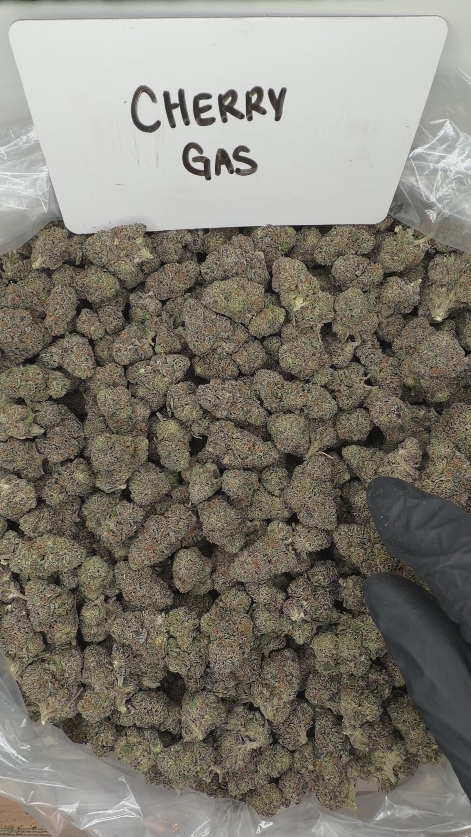 Collection of HEMP FLOWER | Cherry Gas in a gallery layout