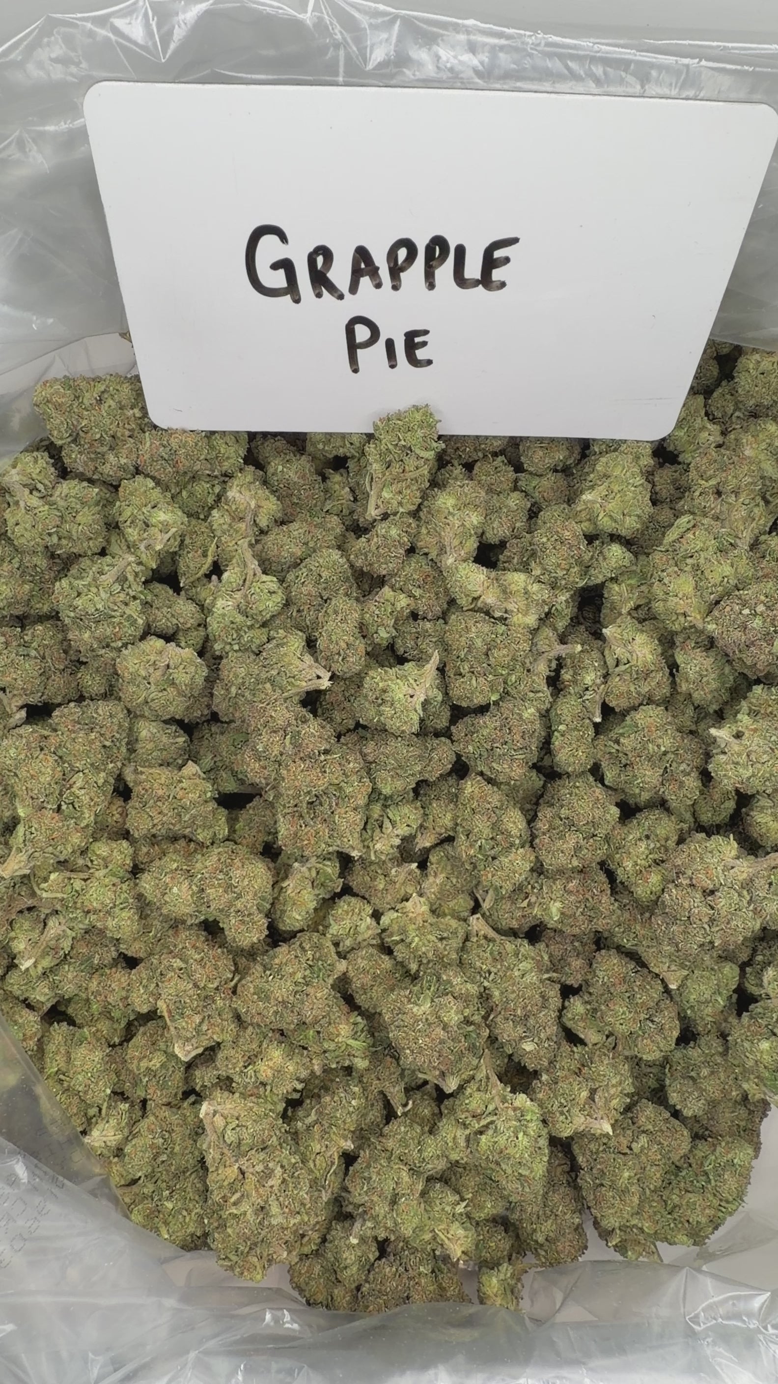 Collection of  in a gallery layout