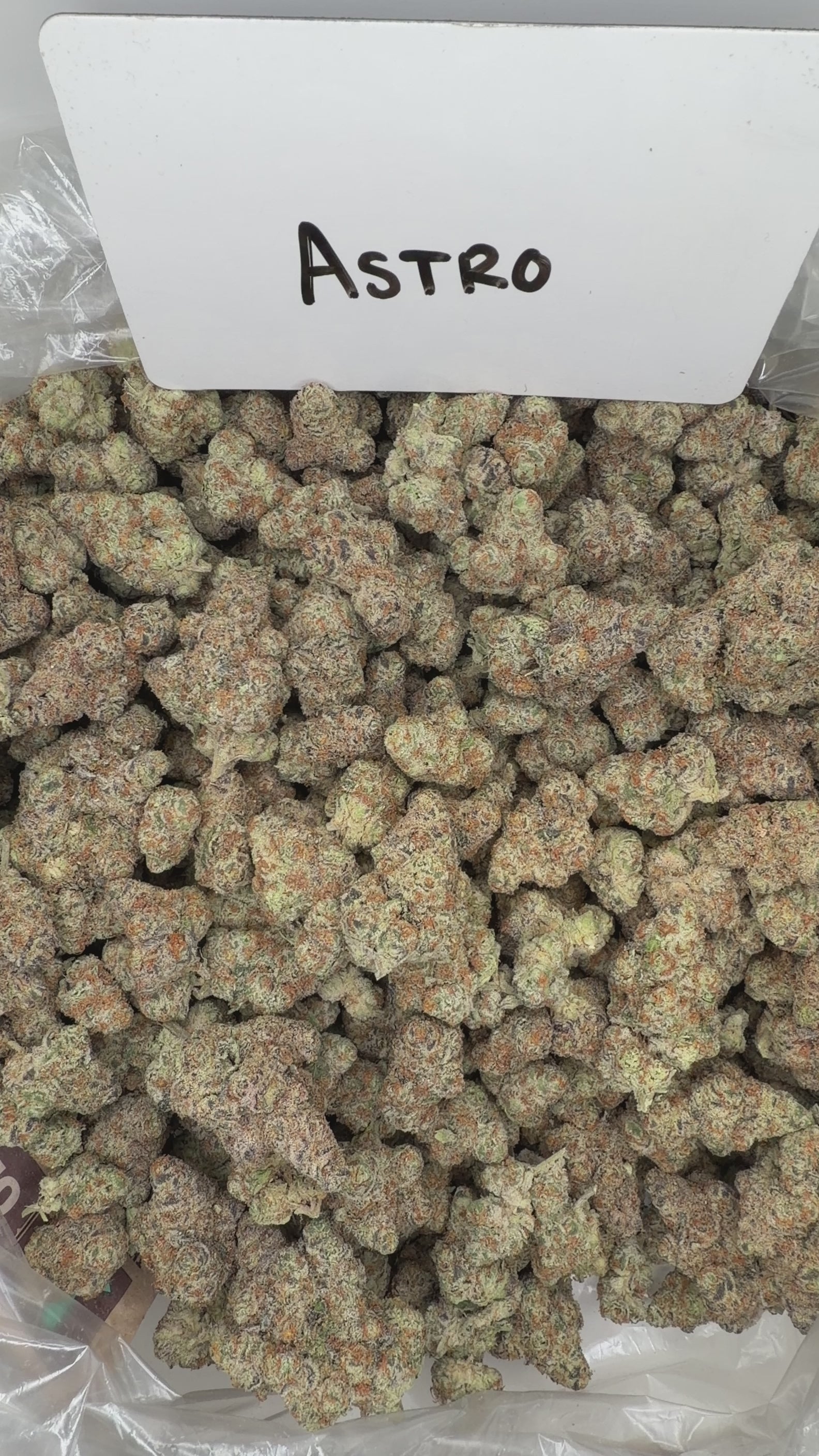 Collection of  in a gallery layout