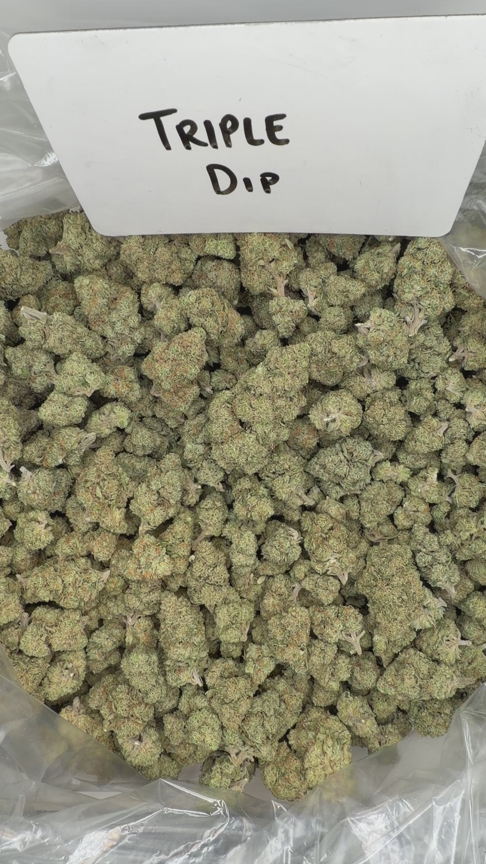 Collection of  in a gallery layout