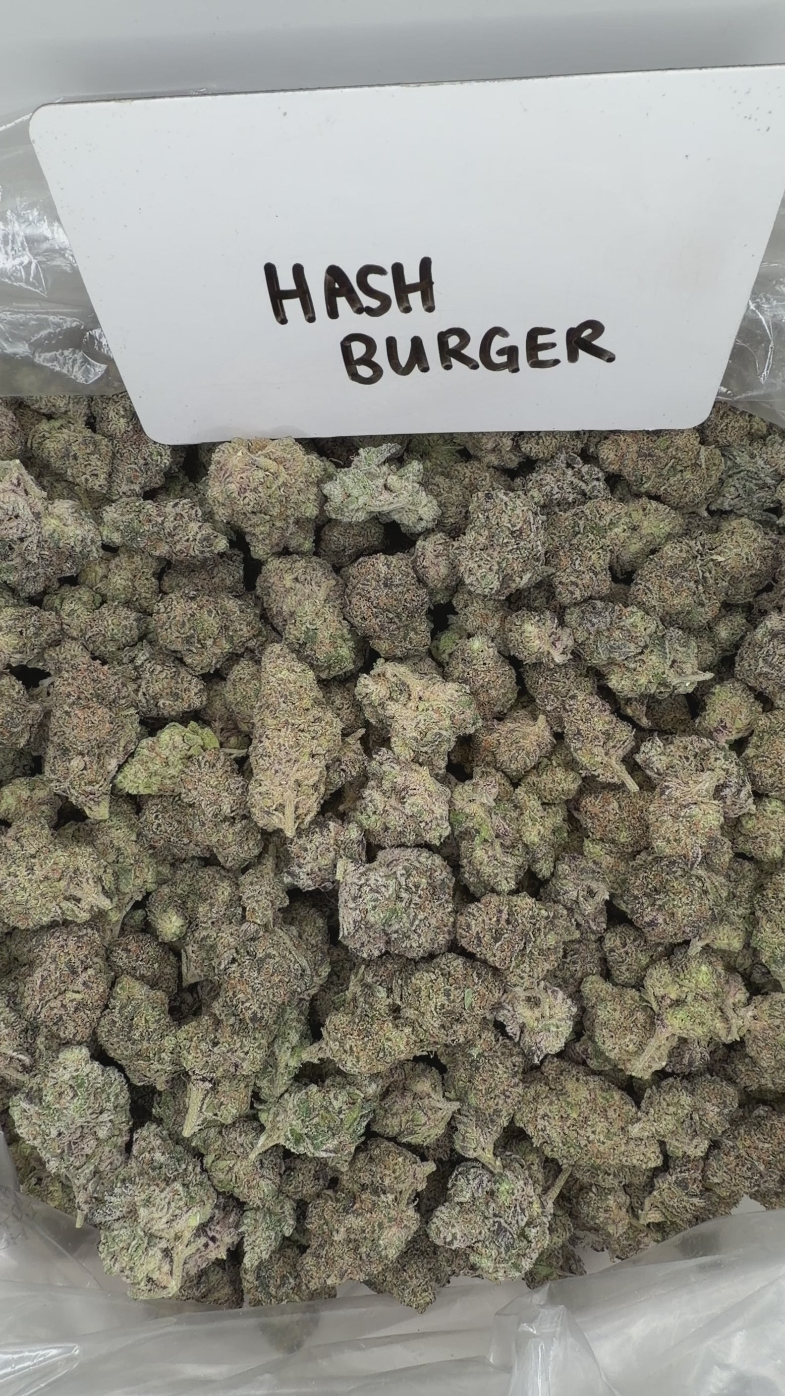 Collection of  in a gallery layout