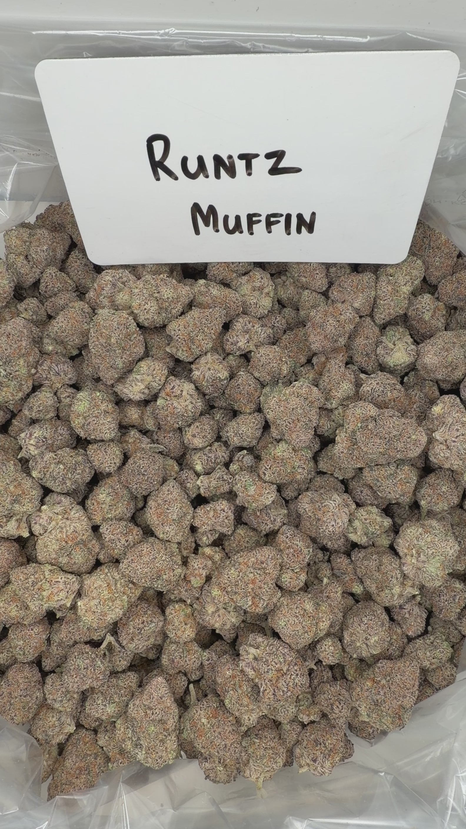 Collection of  in a gallery layout